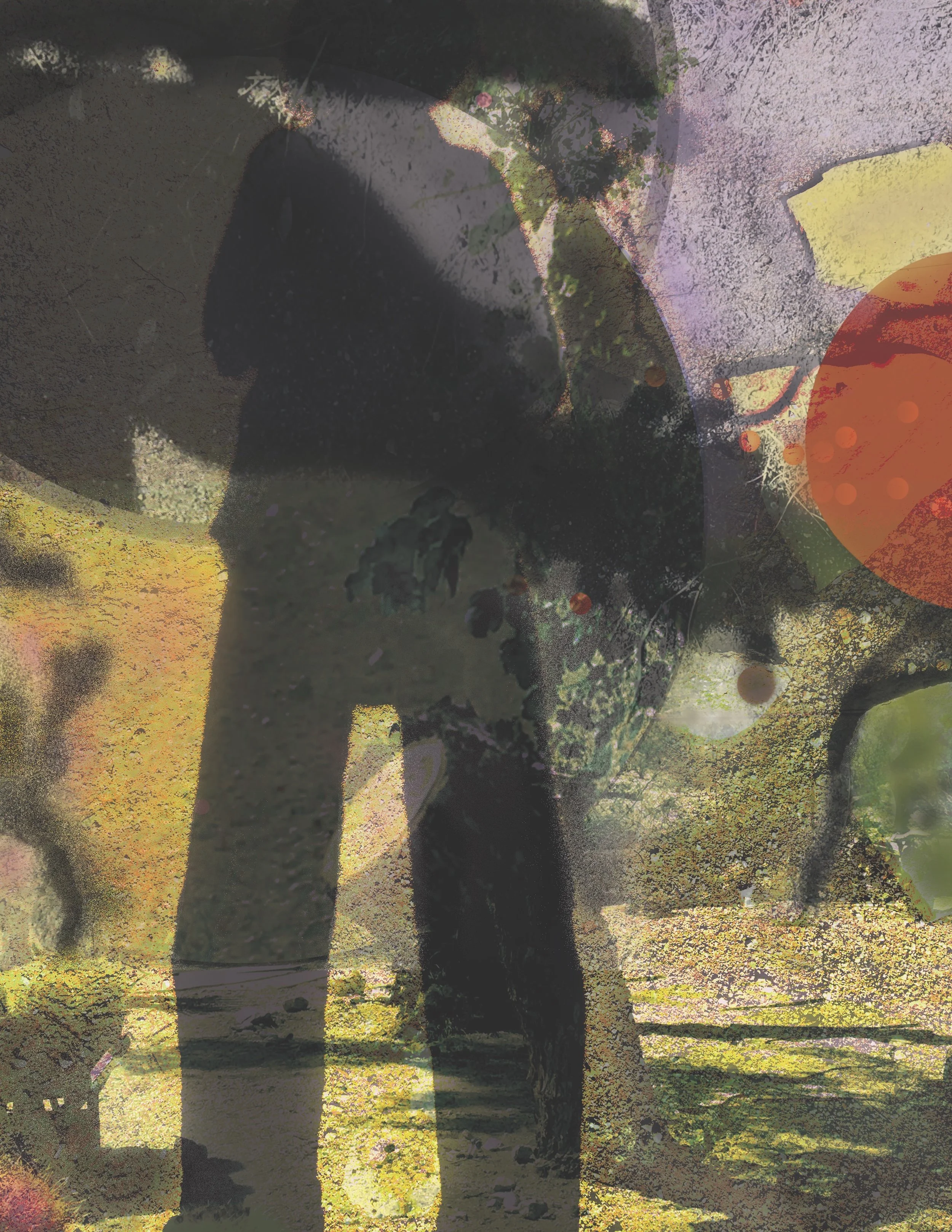 Joan Robey: "On Canyon Road"