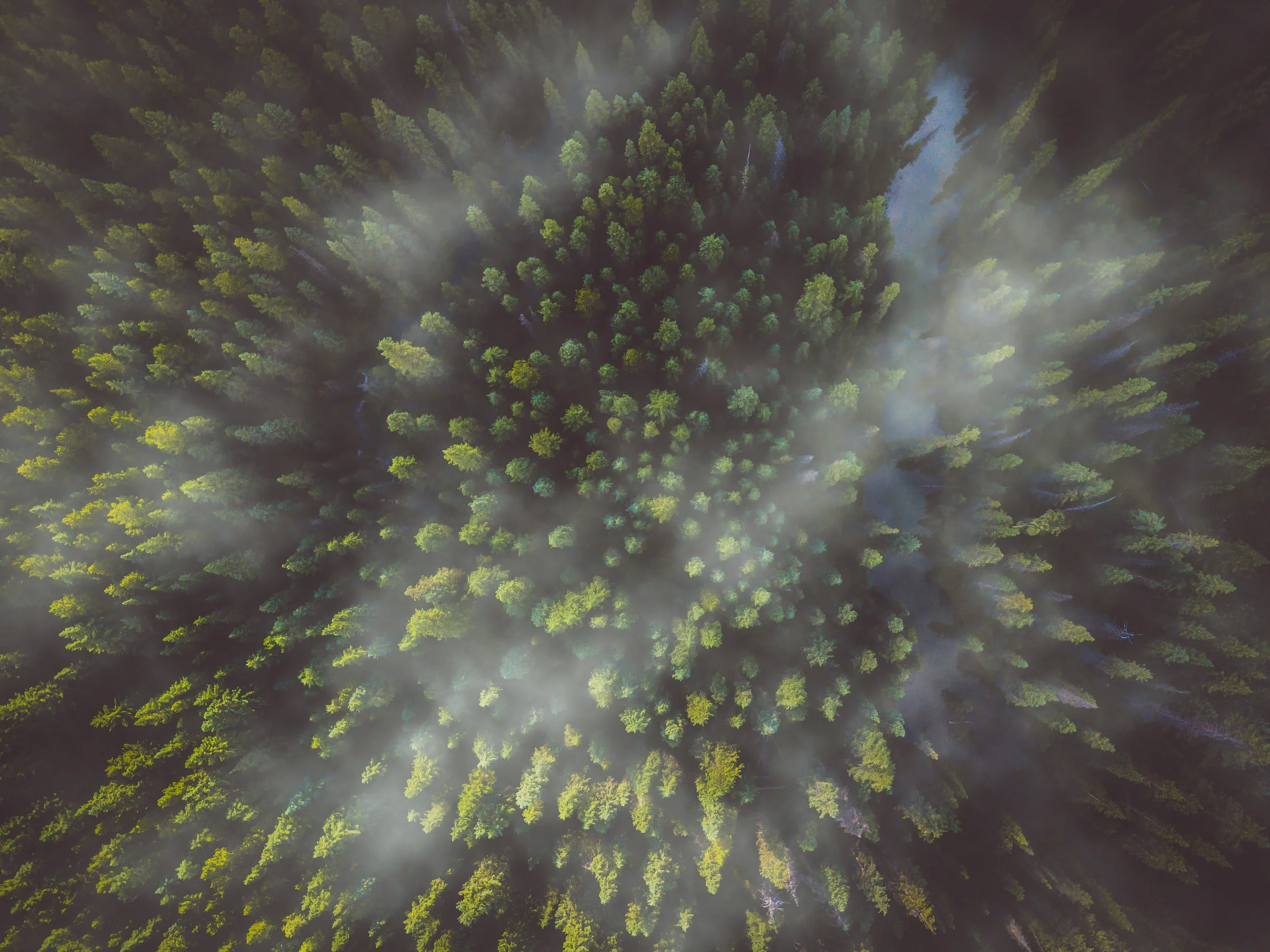 fog-2.jpg