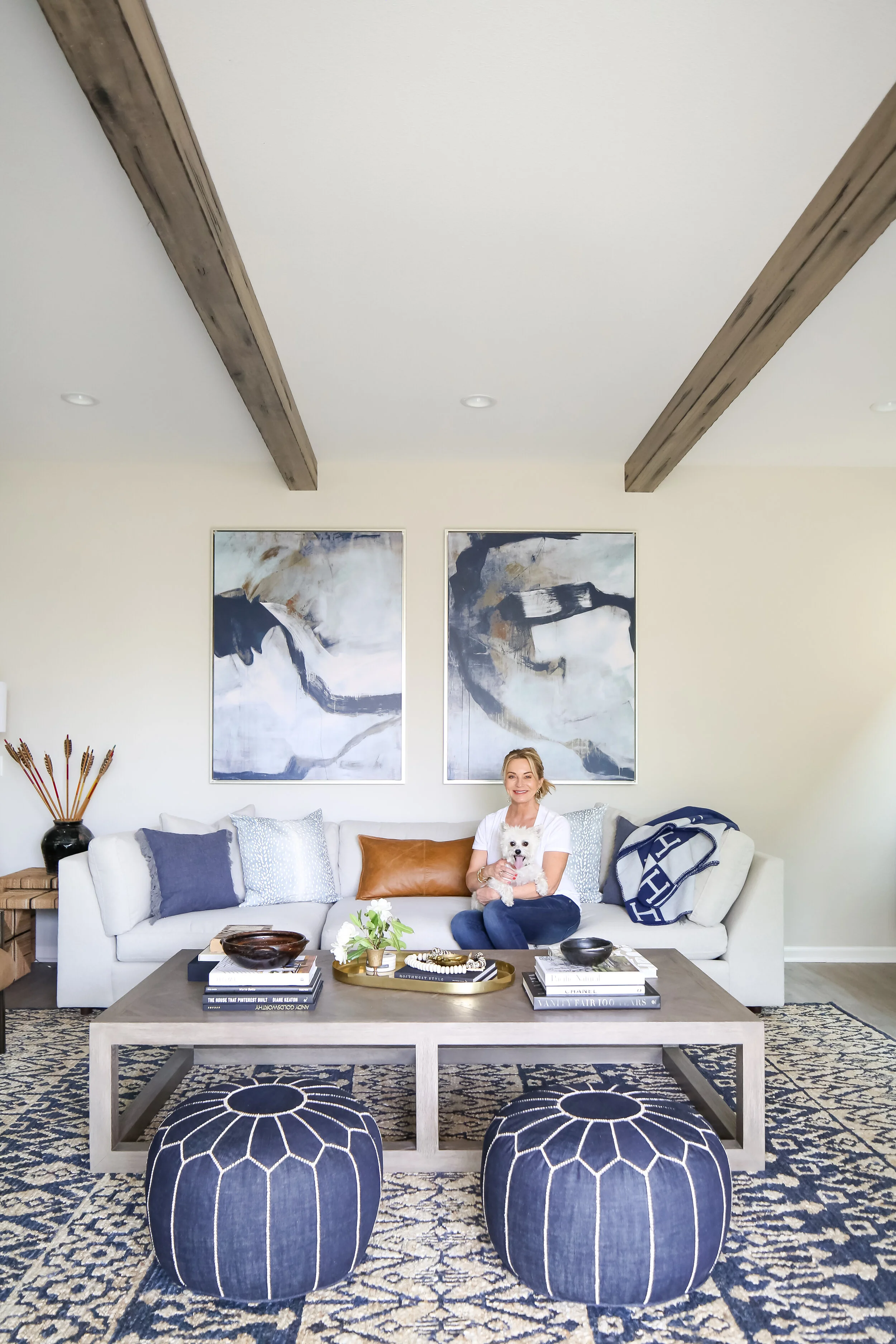 houzz coastal living rooms on Coastal Contemporary Living Room Mindy Laven