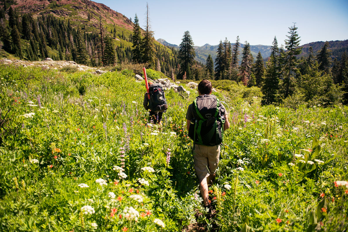  Backpacking up the Swift Creek Trail in the Trinity Alps Wilderness. 