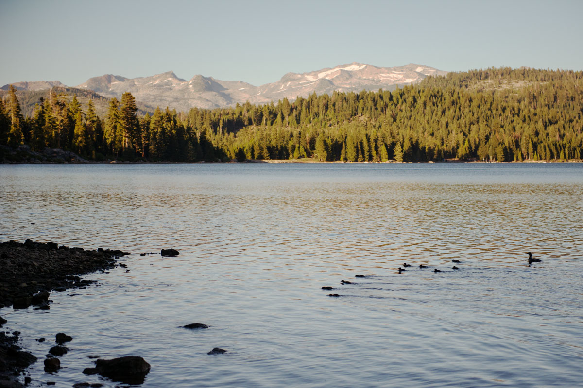 Ice House Reservoir, Eldorado National Forest