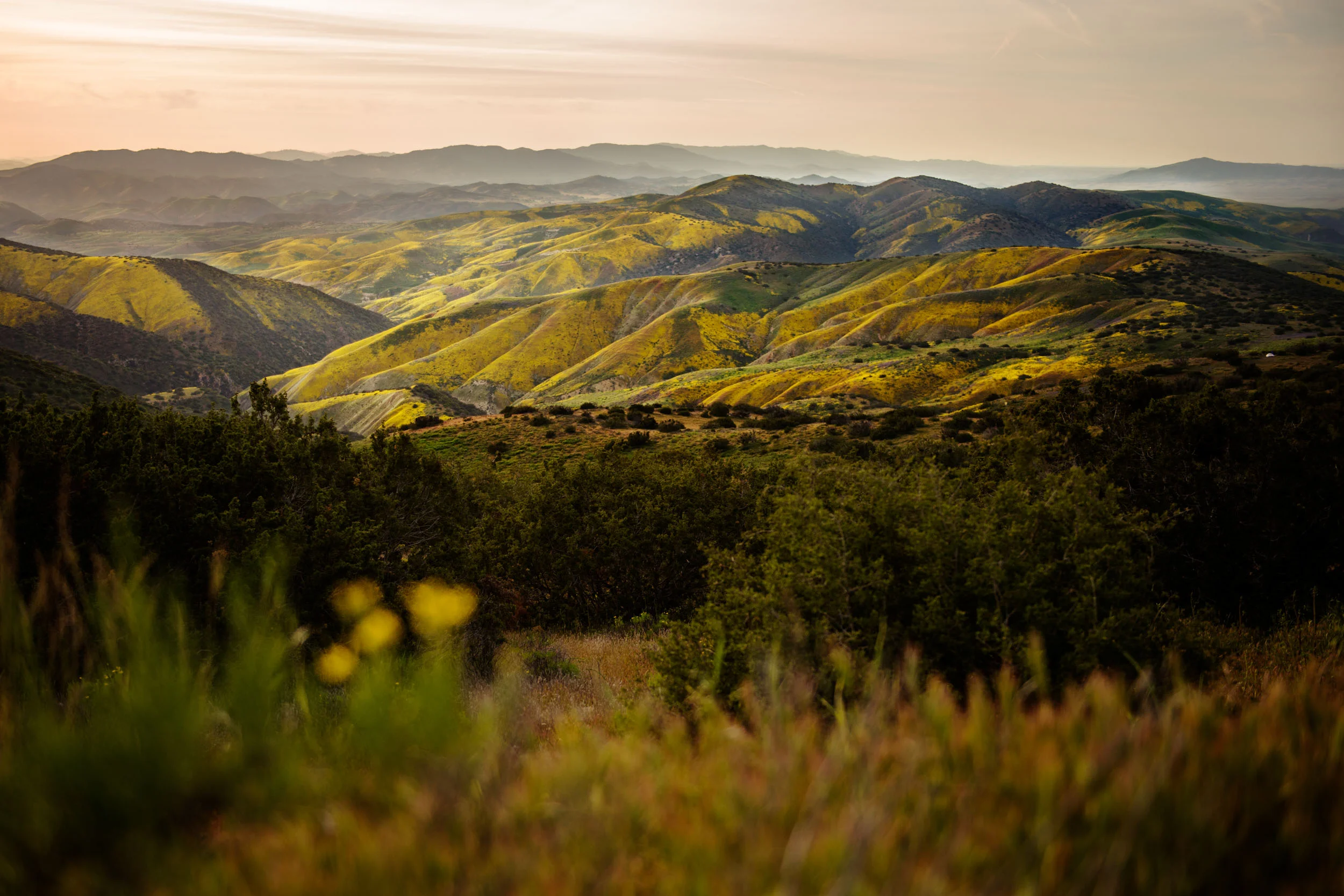  Carrizo Plain,&nbsp;California 