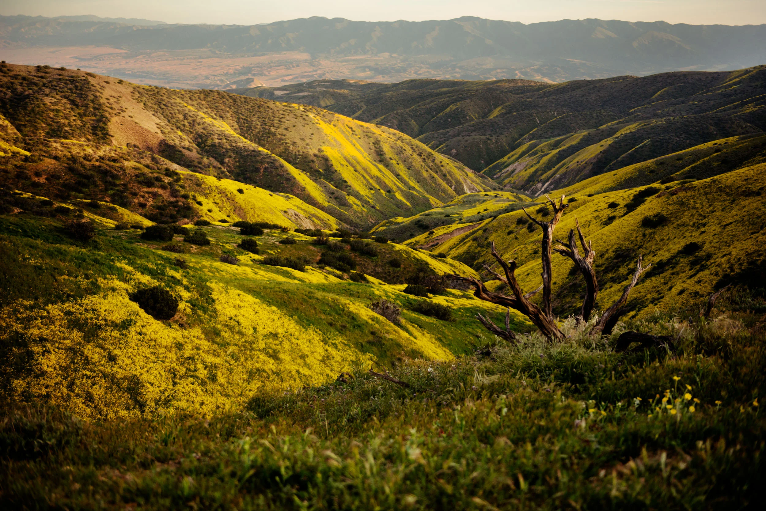  Carrizo Plain, California 