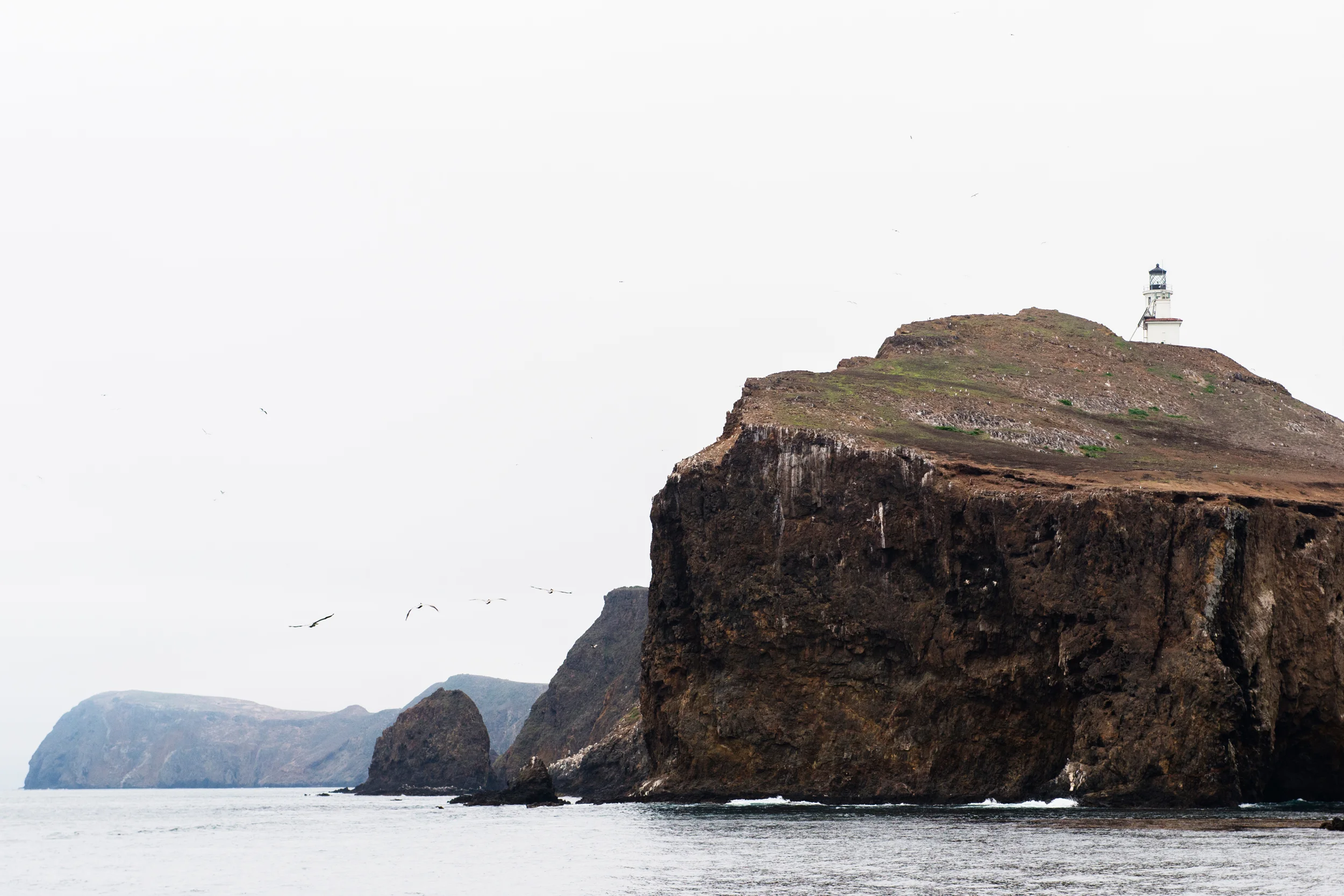  Anacapa Island, Channel Islands National Park, Calif. 