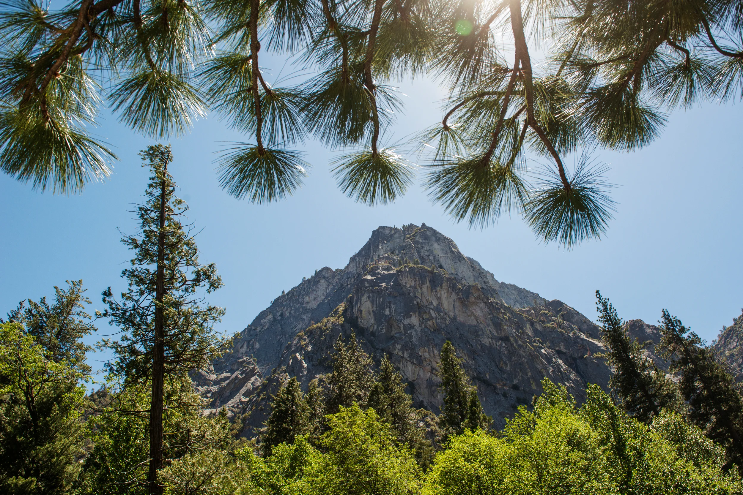  Kings Canyon National Park, California 