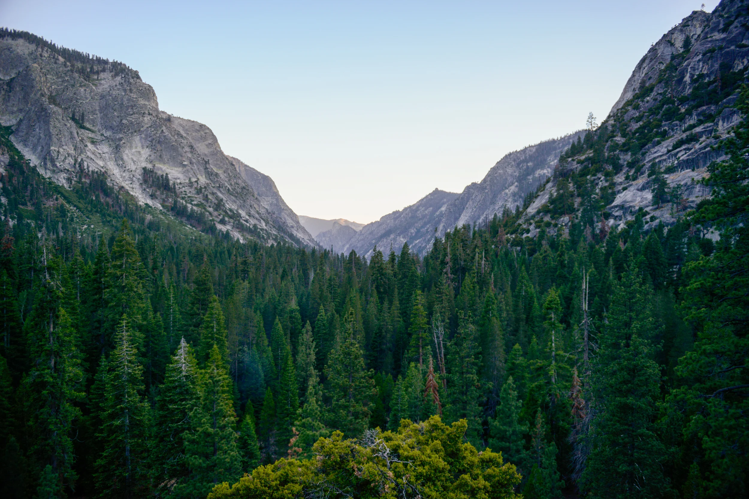  Kings Canyon National Park, Calif. 