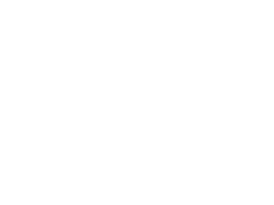 seo company in riverview floirda.png