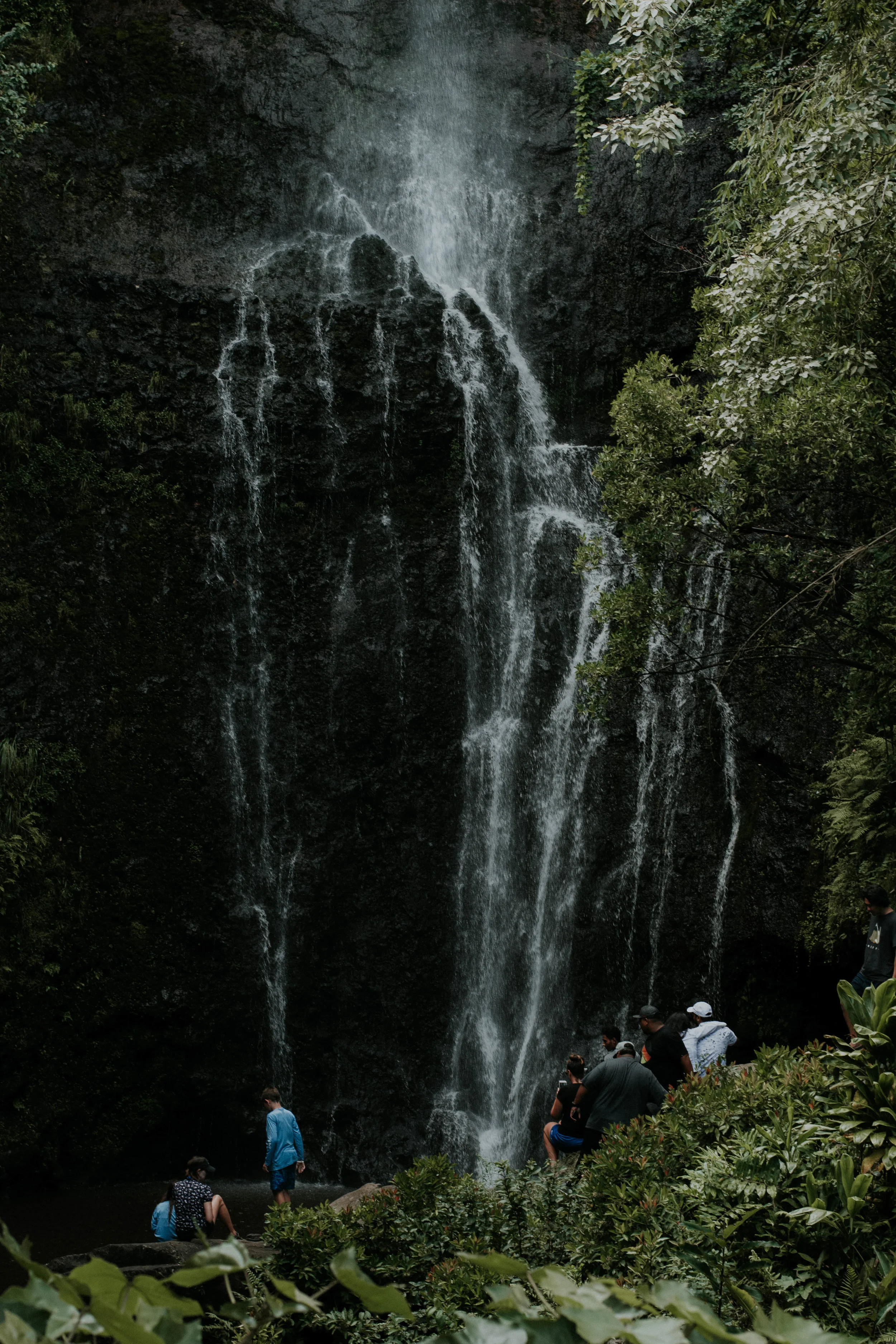 DSC_0183.jpg