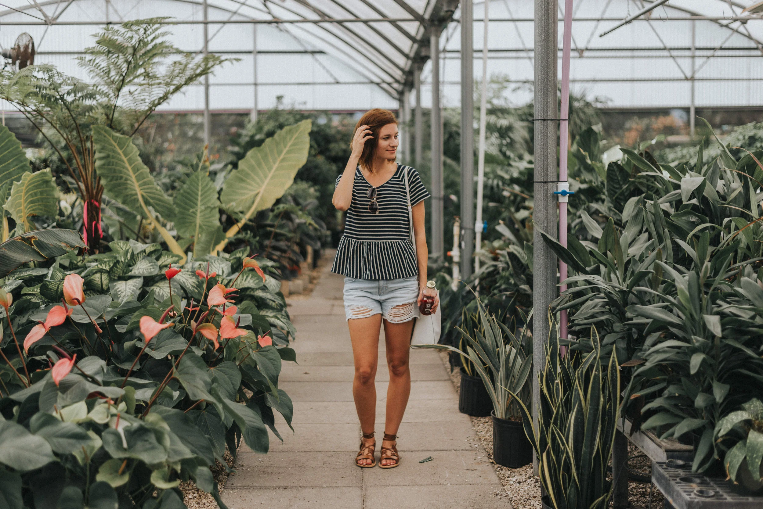 Madewell | Katelyn Now | Peplum