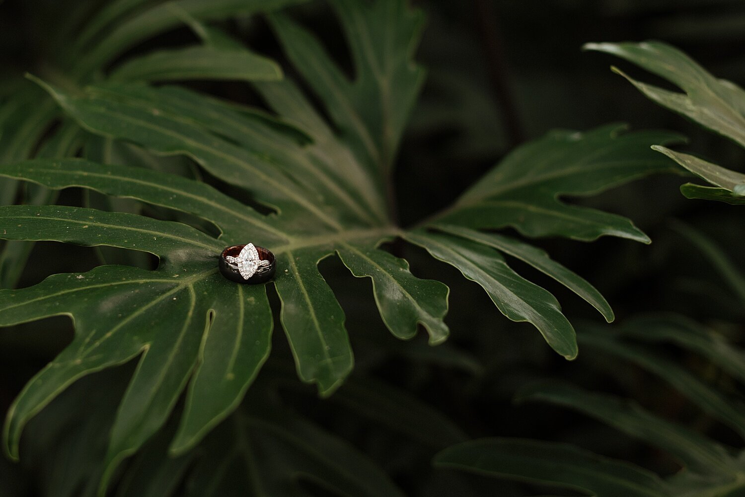 T+T.Wedding.Zandrabarrigaphoto-193.jpg