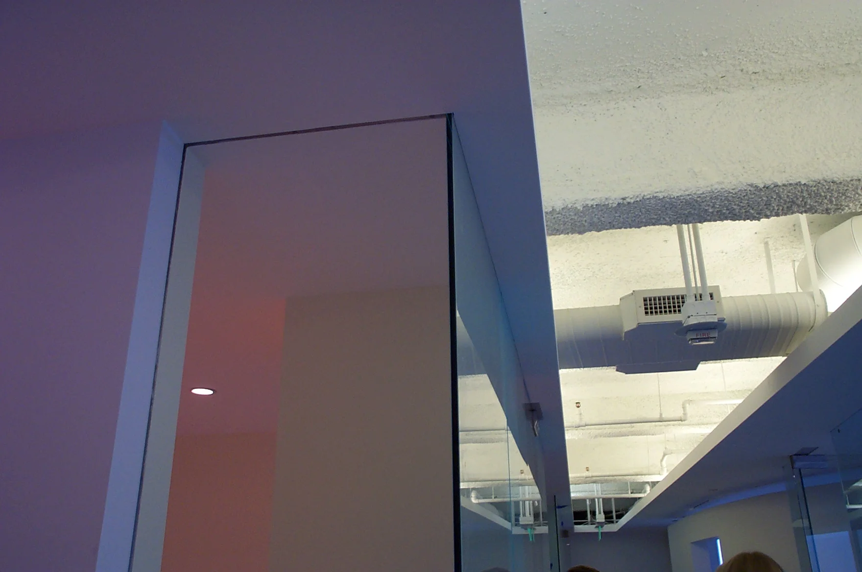 DCP_3391.JPG