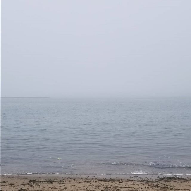 #ANGELISLAND
#ANGEL
#ISLAND
#BEACH
#BAY
#MARITIME
#SFBAYAREA
#OCEAN
#GOLDENGATEBRIDGE
#FOG
#WATER
#CLOUDS
#SKY
#MARINA
#SEASONS
#TIME
#NATURE
#LANDSCAPE
#TIMELAPSE
#PHOTOOFTHEDAY
#NOFILTER
#GAINPOST
#INSTAGOOD
#IGDAILY
#WUTANG
#WINGS
#PEACE
#ASANANGE