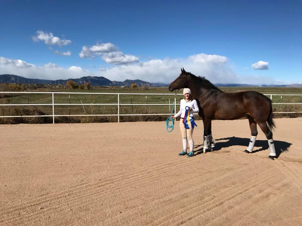 Cloudview Stables