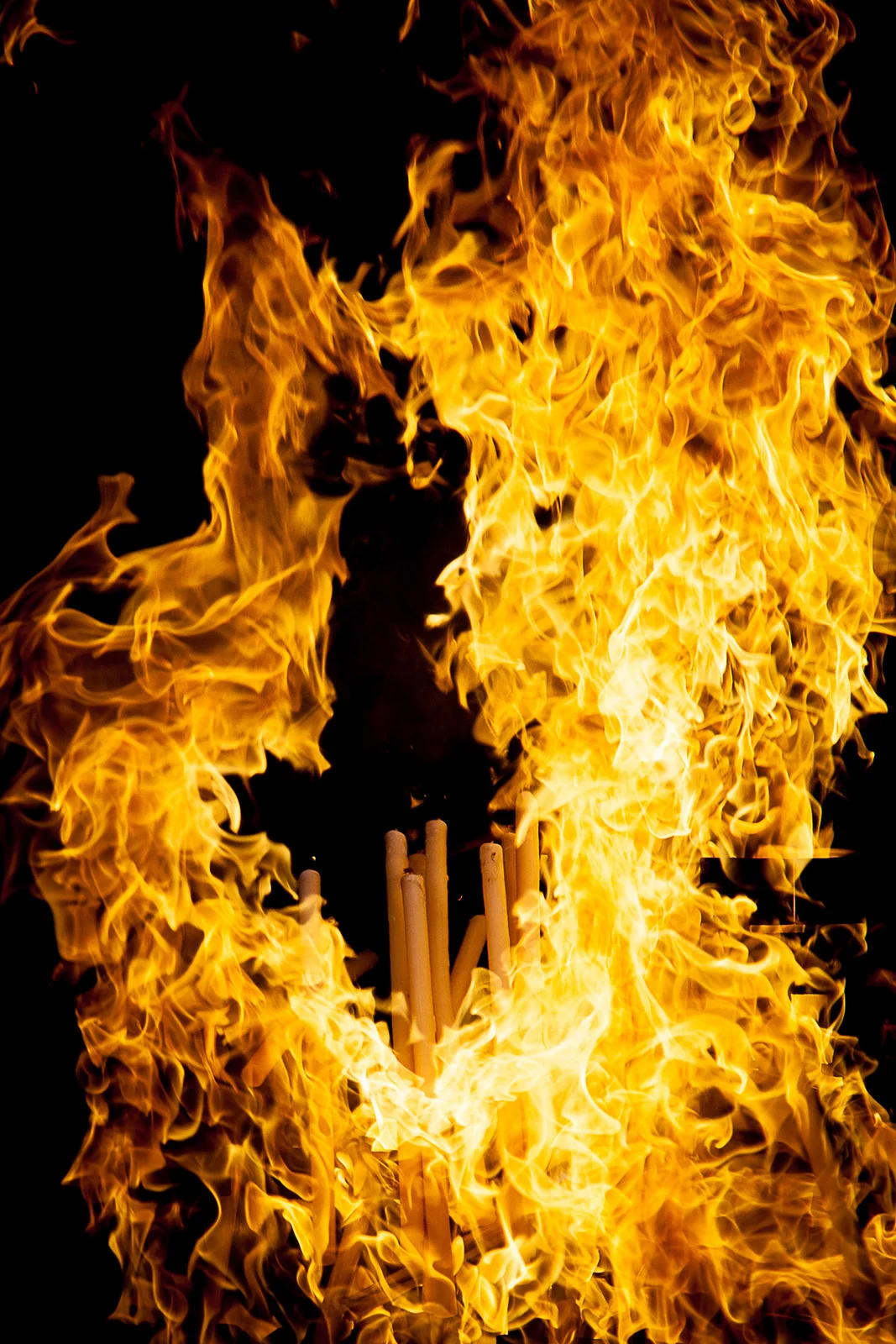 20120512-1874_elements.jpg