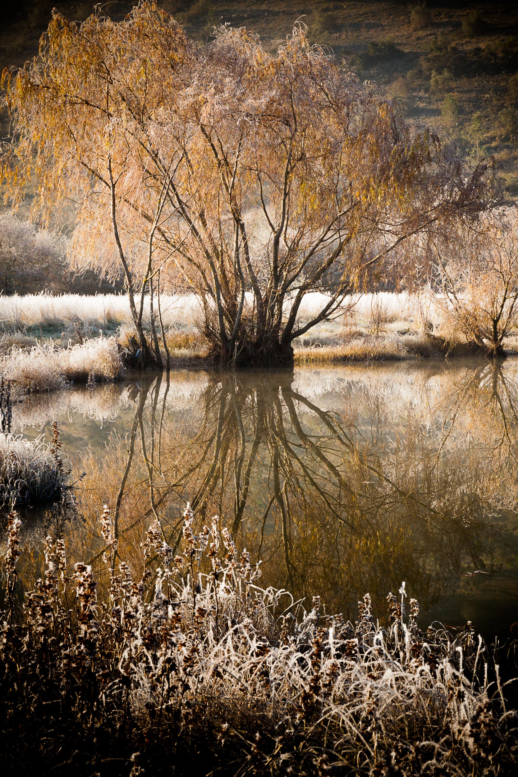 20131208-0362_elements.jpg