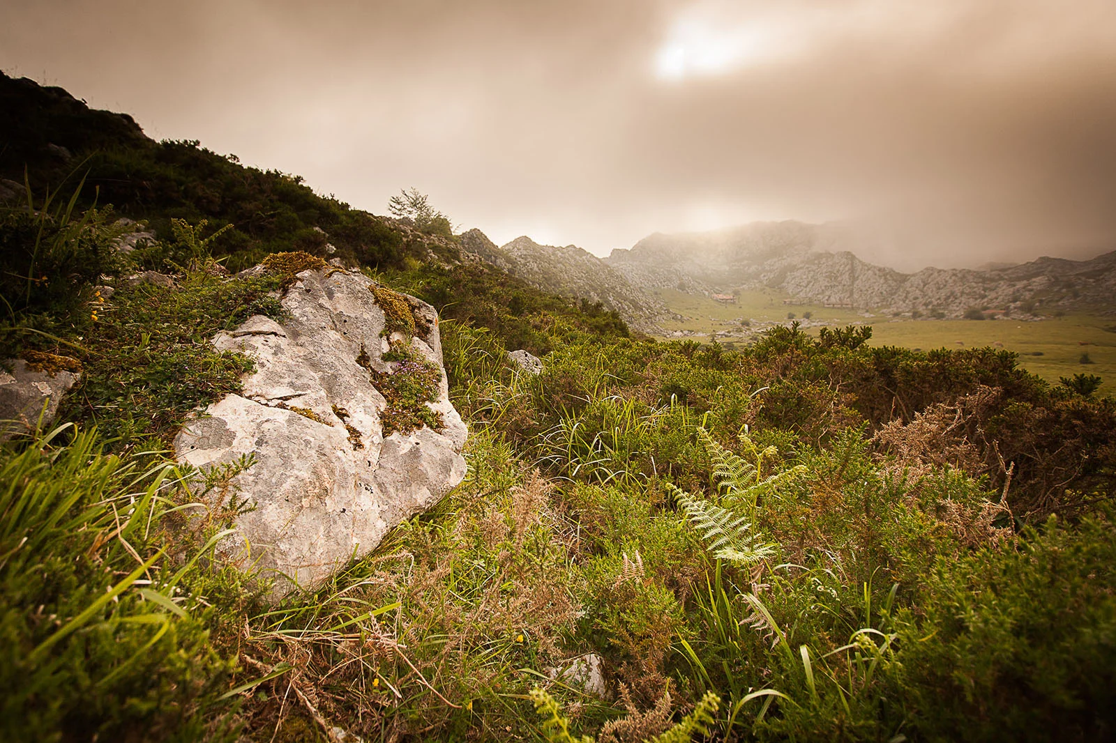 20140611-2787_picos.jpg
