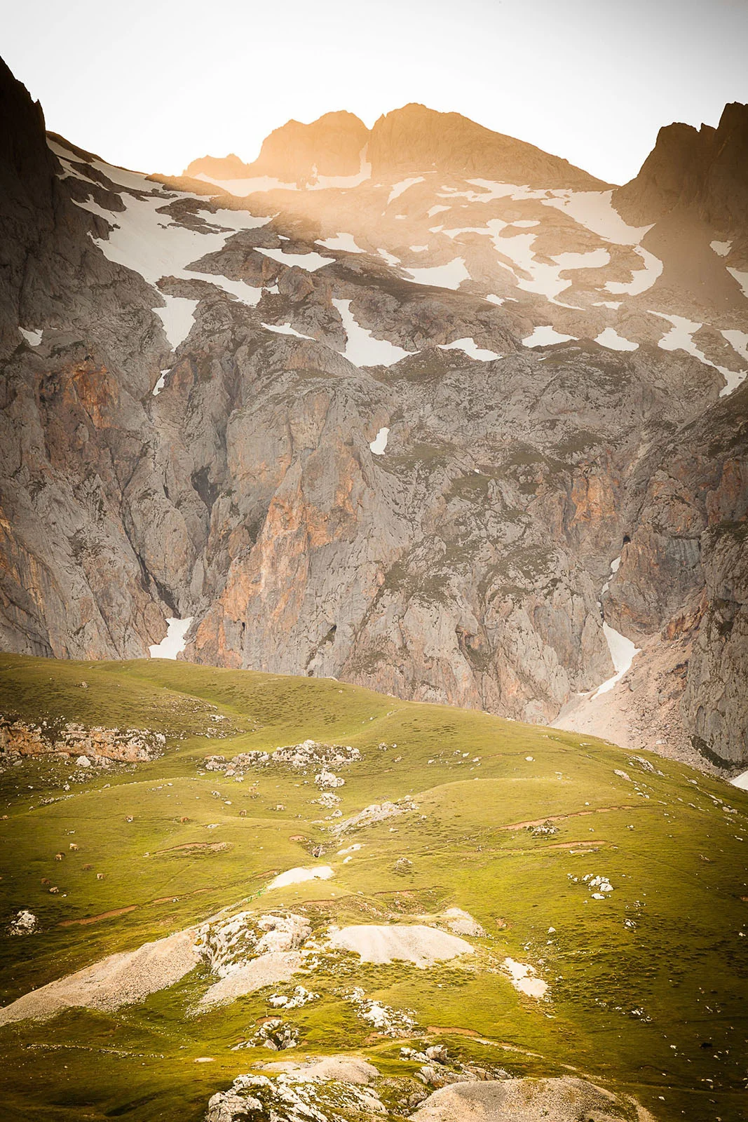 20140612-2953_picos.jpg