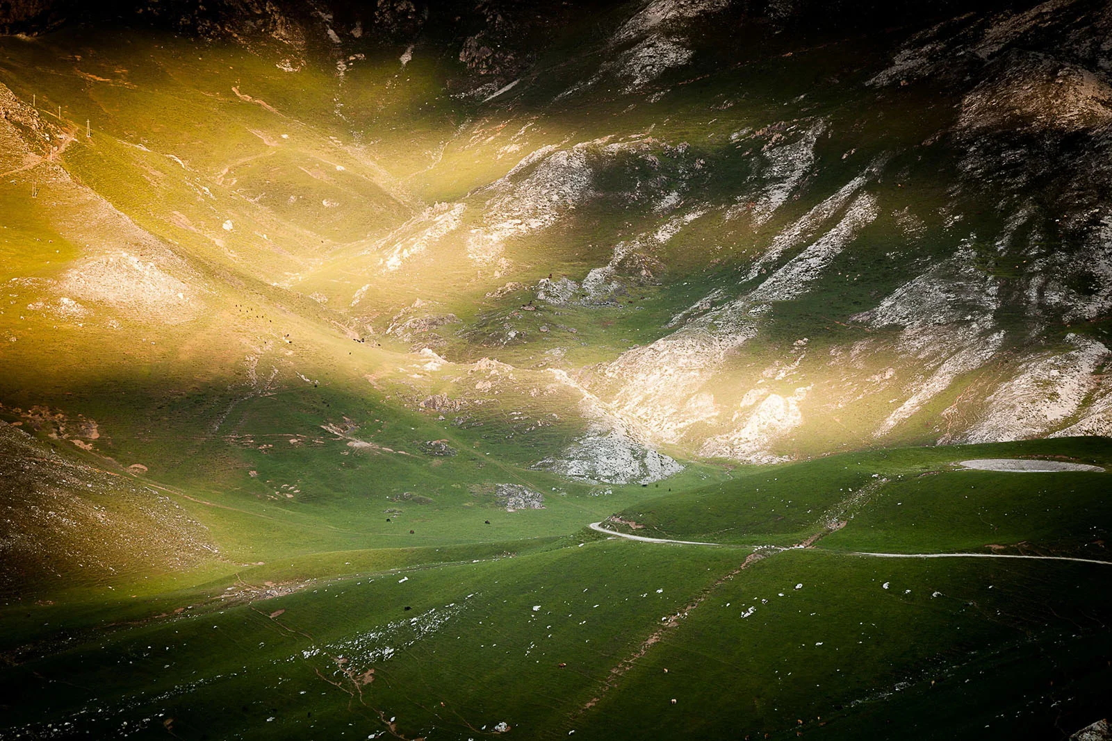20140612-2966_picos.jpg