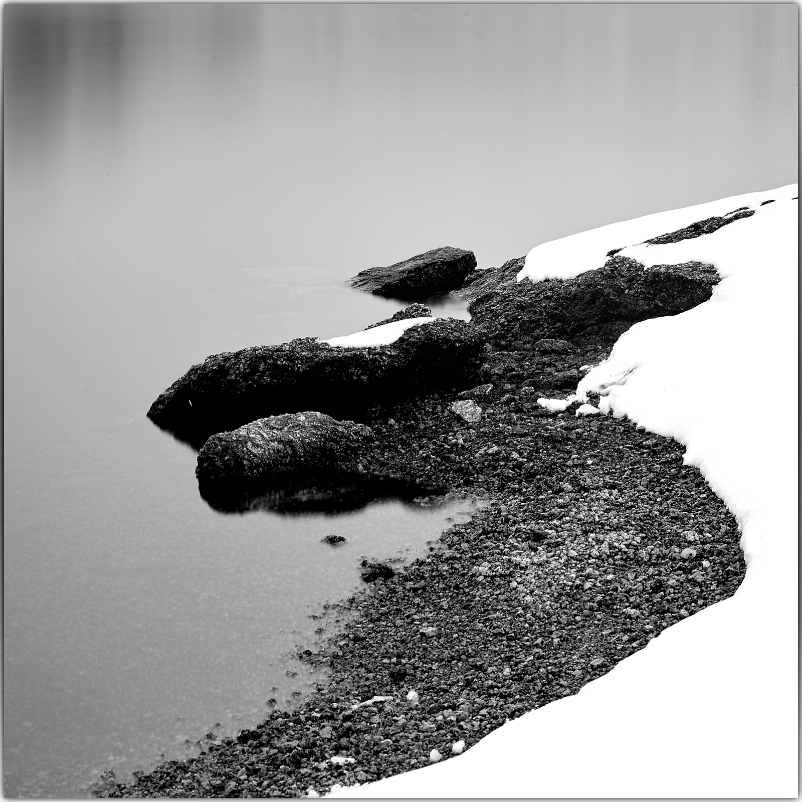 20170304-5767_square.png
