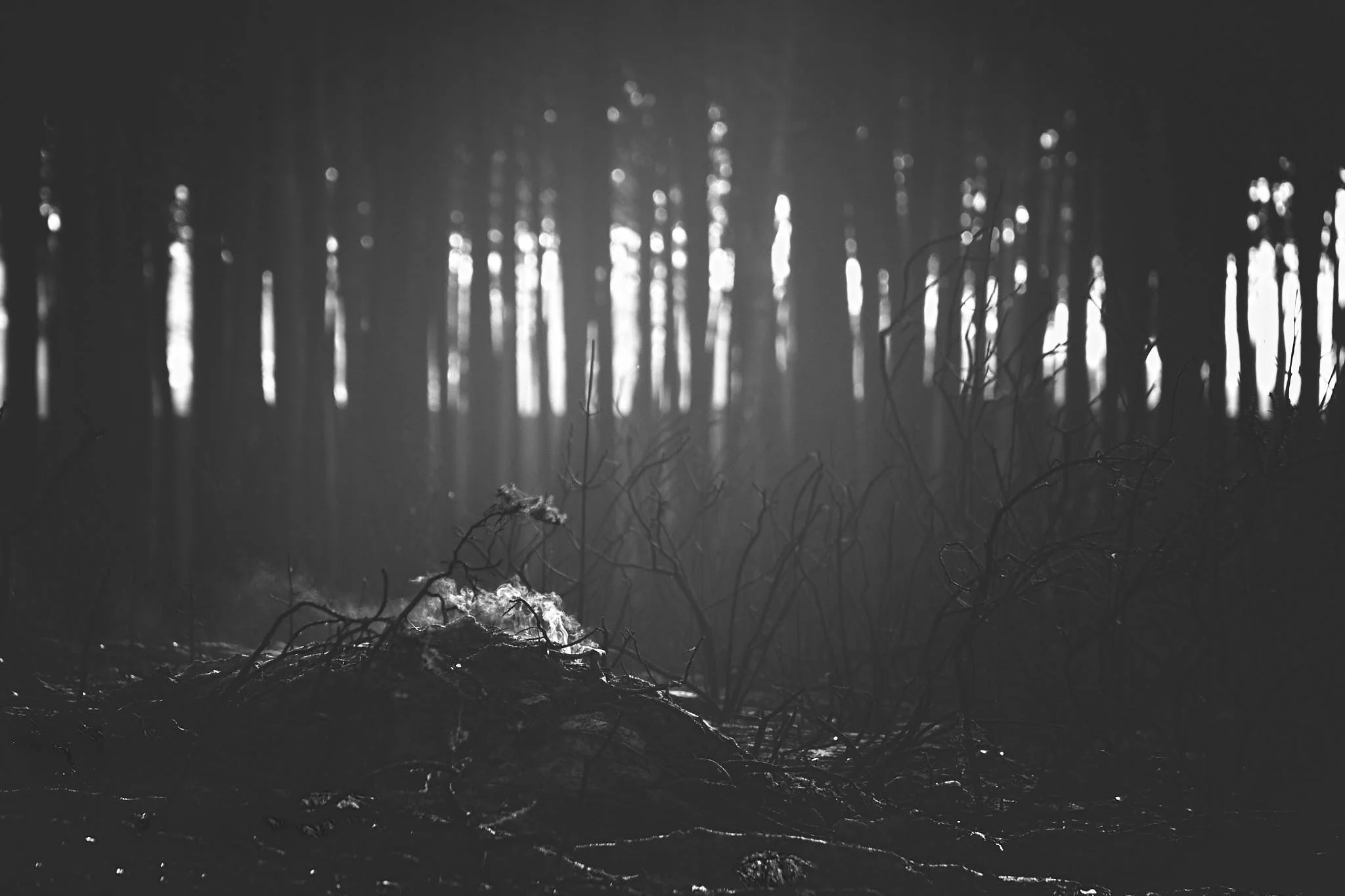 20171022-9550_incendio_pinhal_leiria.jpg