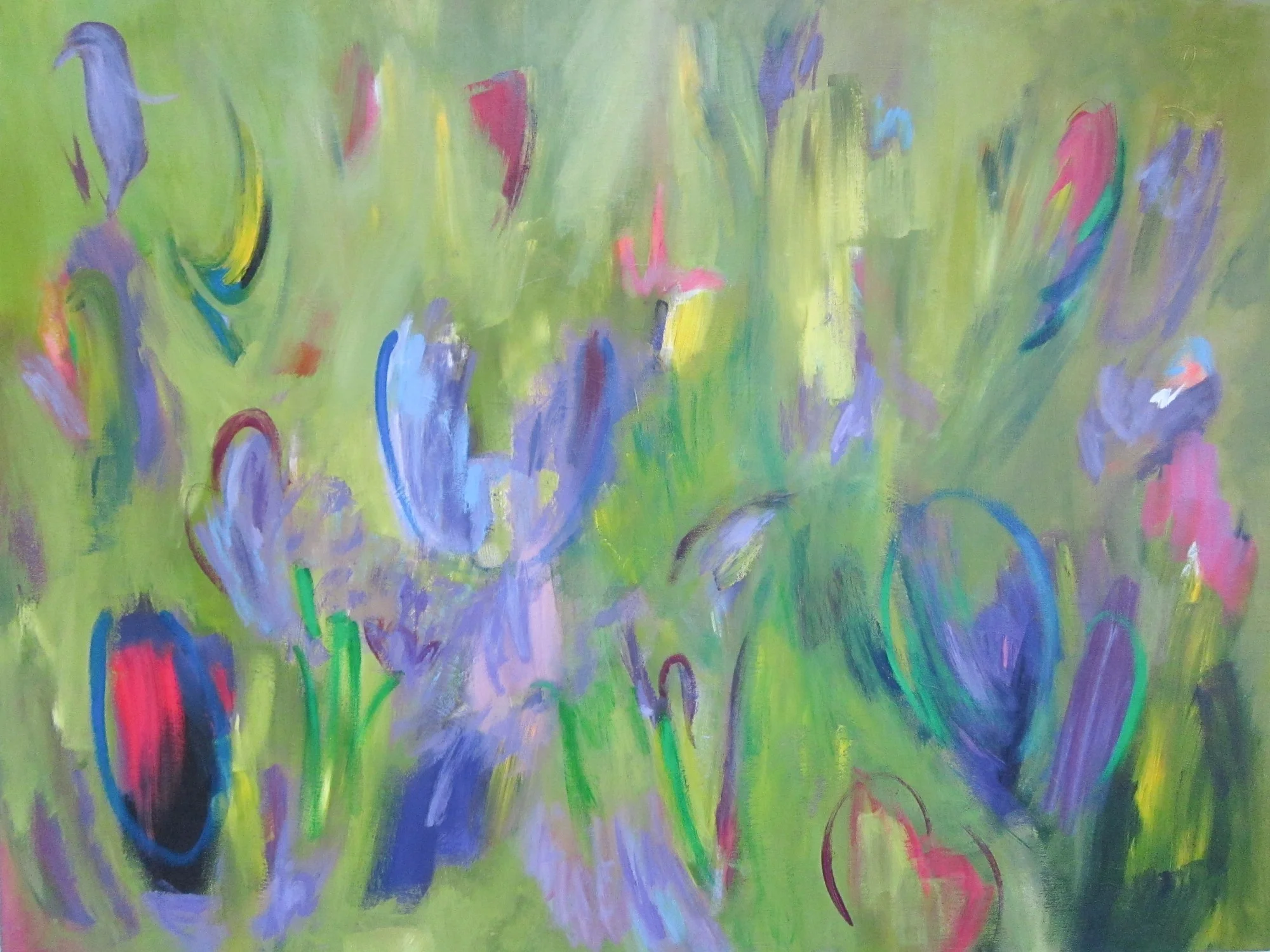 Spring Meadow