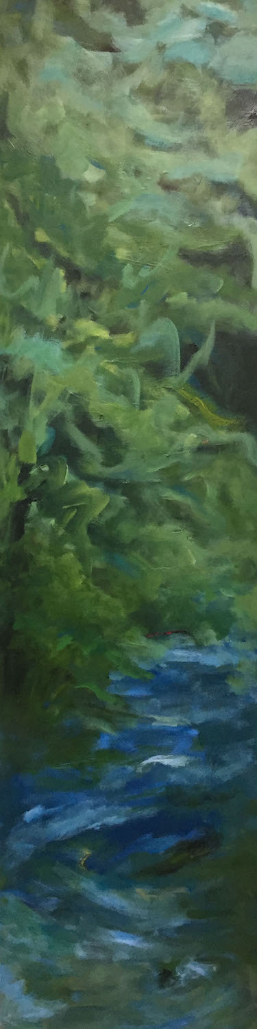 Hidden Brook