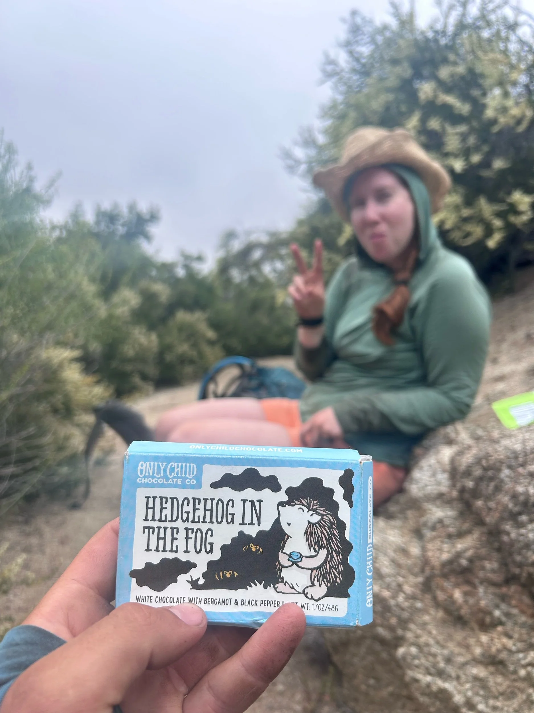 Day 32: Back to the Desert