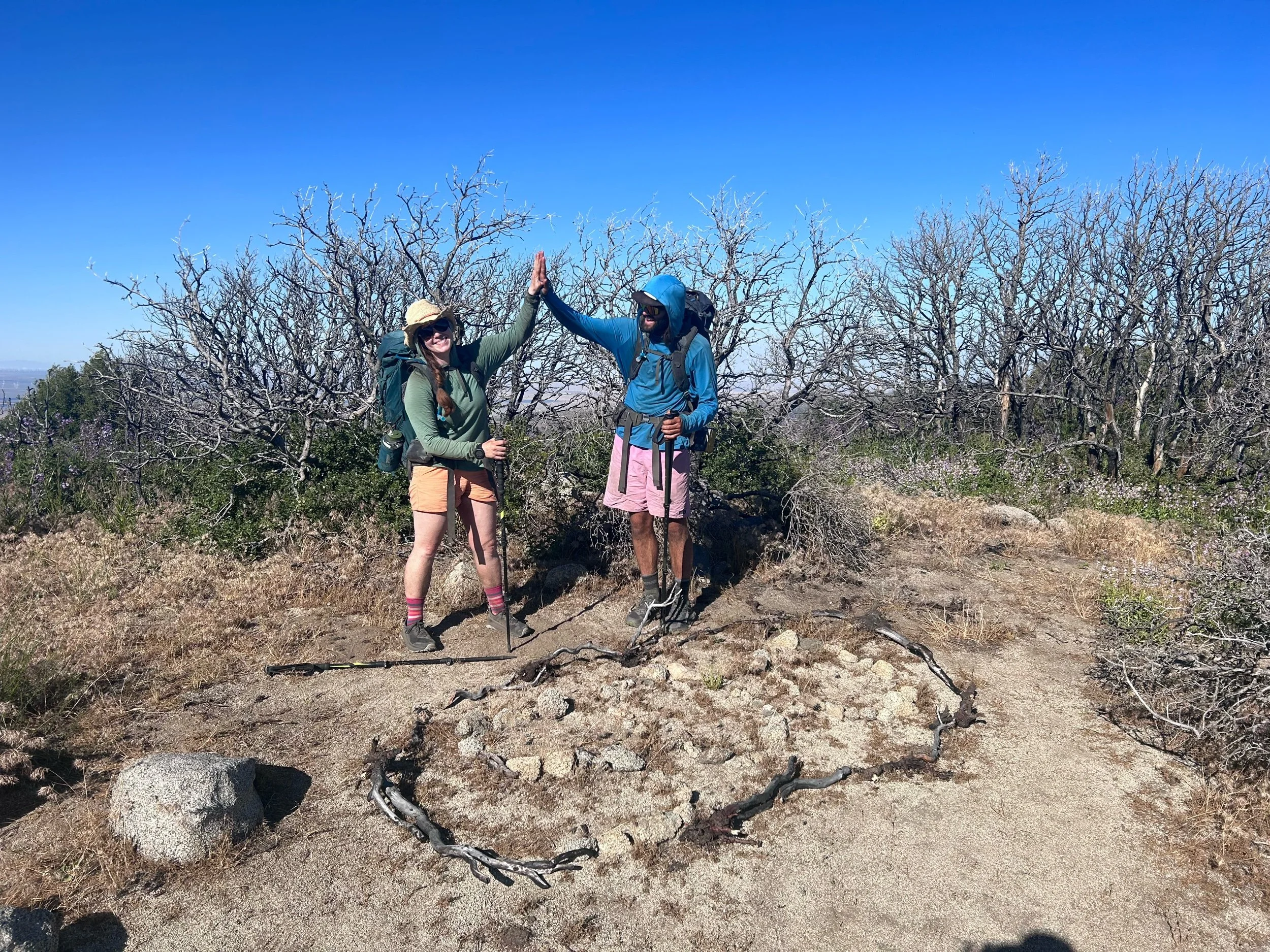 Day 35: Poodle-dog Bush Dodging