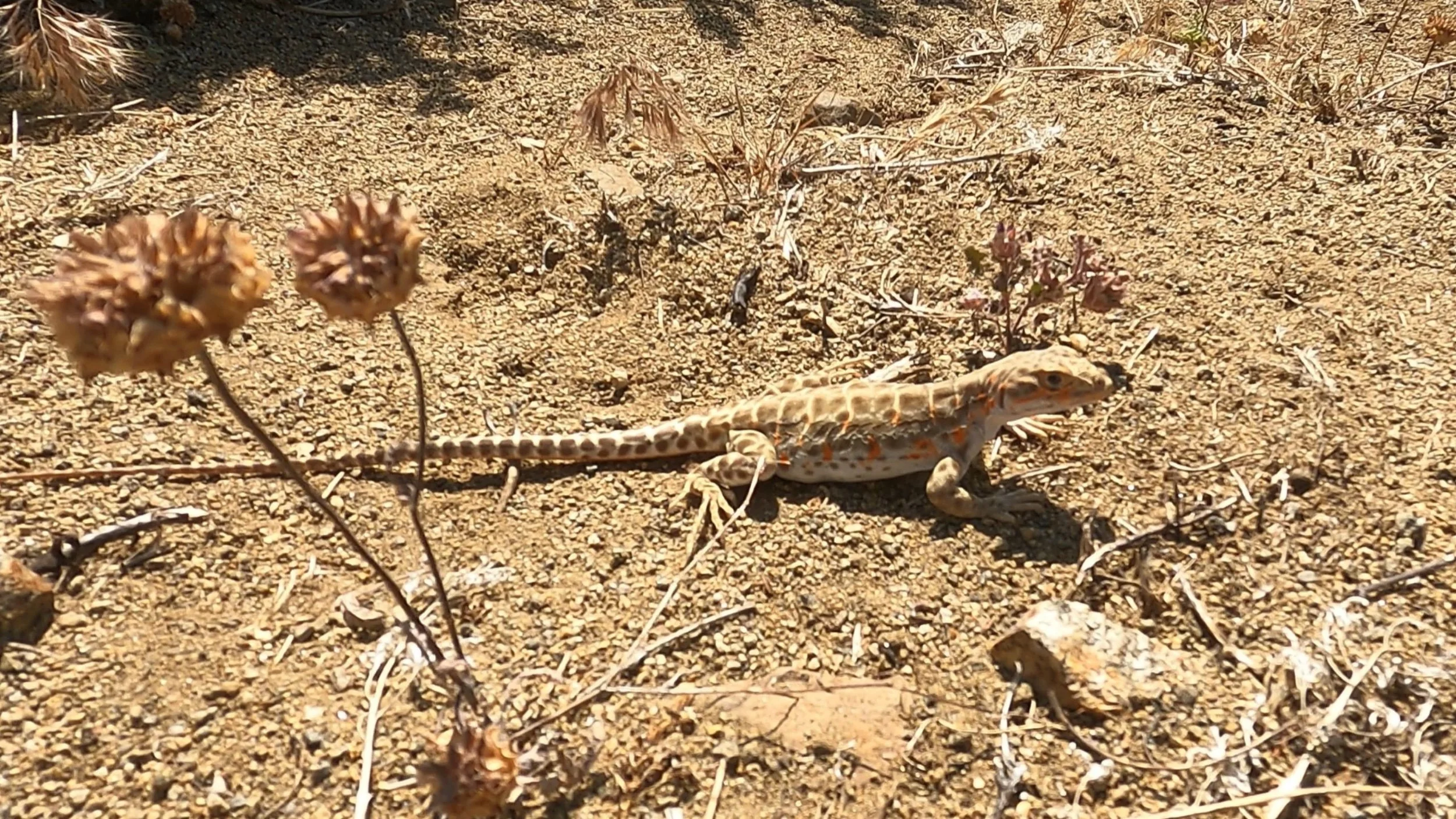 Day 38: Turbine City!