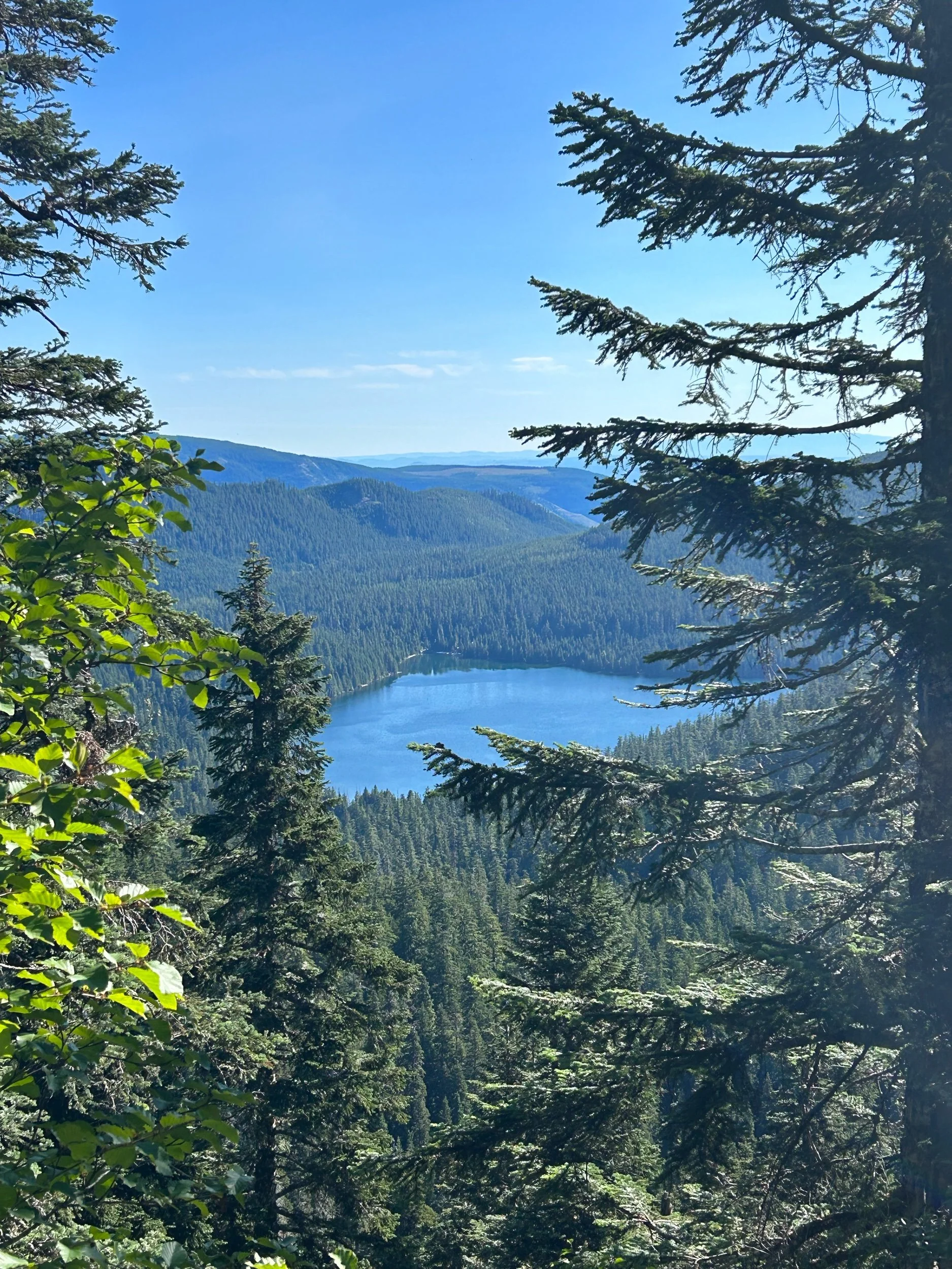 Day 59: Skirting Hood