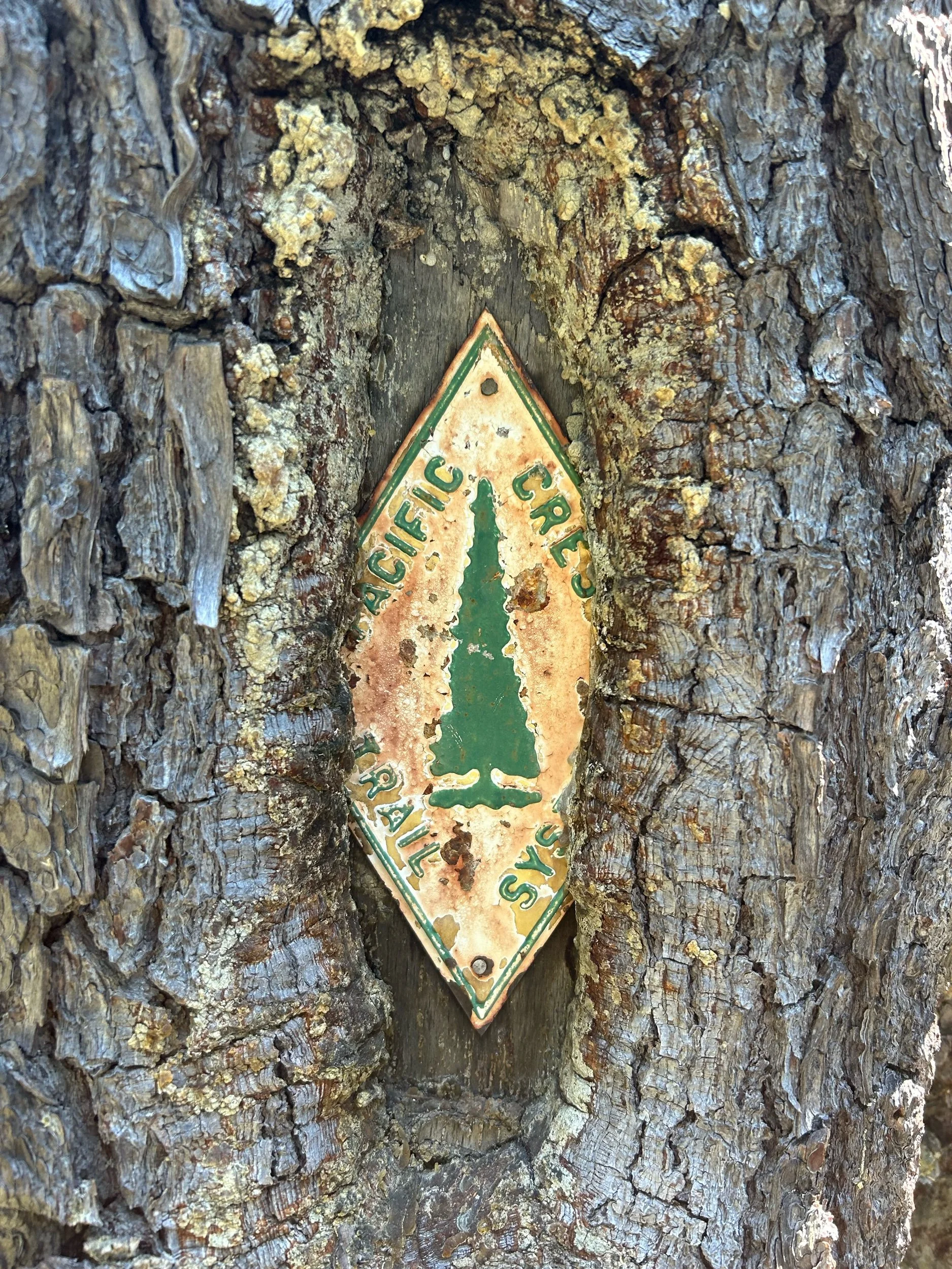 Day 78: Windigo Pass