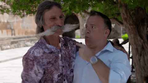 AU giphy 002.gif
