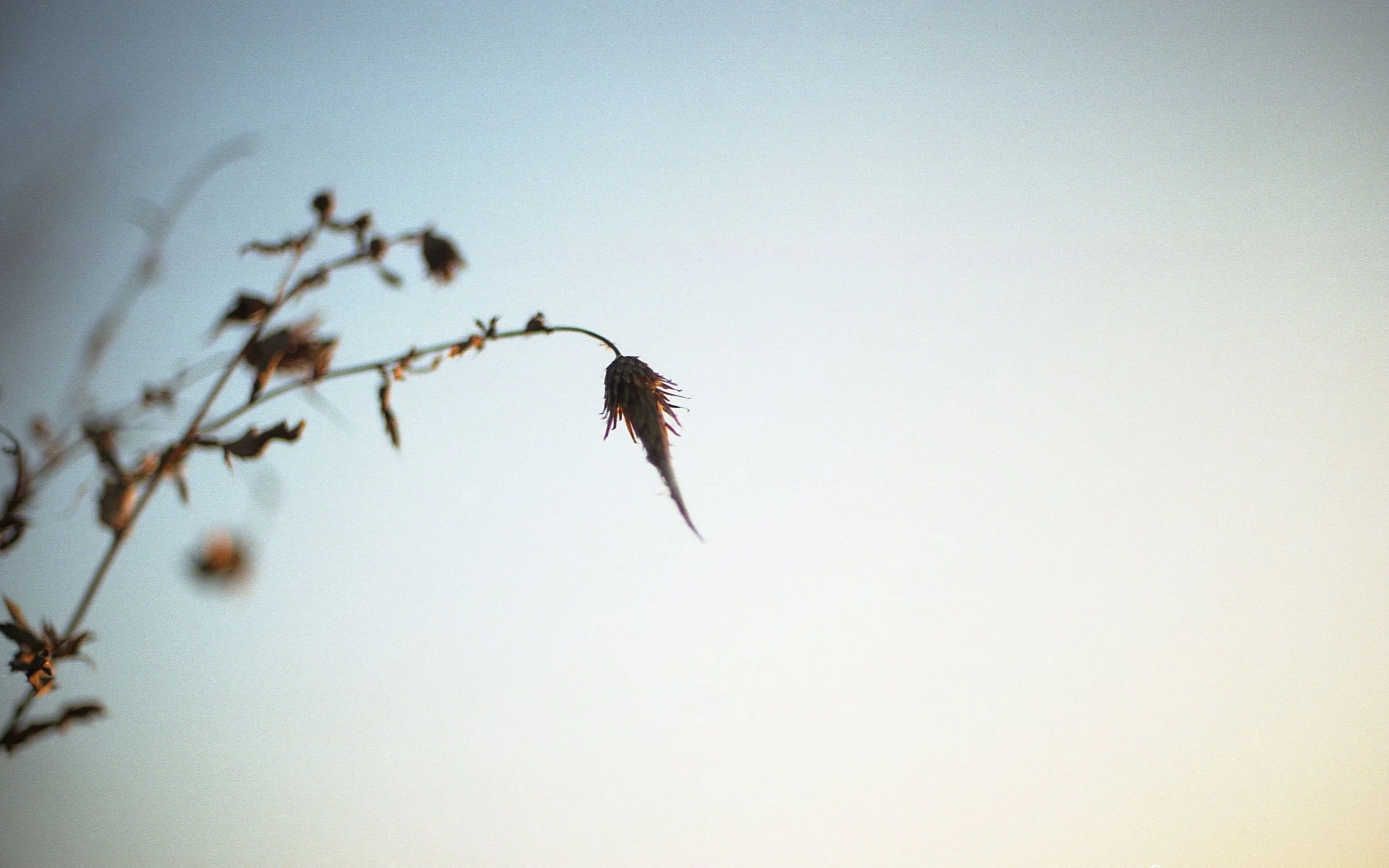 roll66 chicago034 (1).jpg