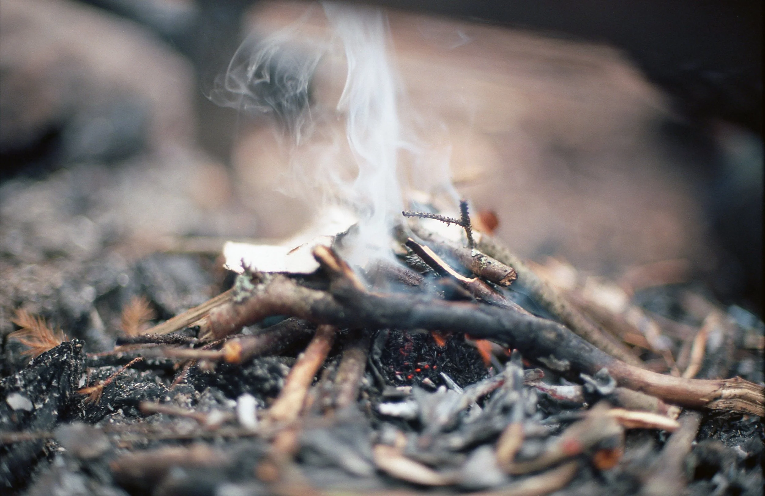 roll45 bwca 3036 (1).jpg