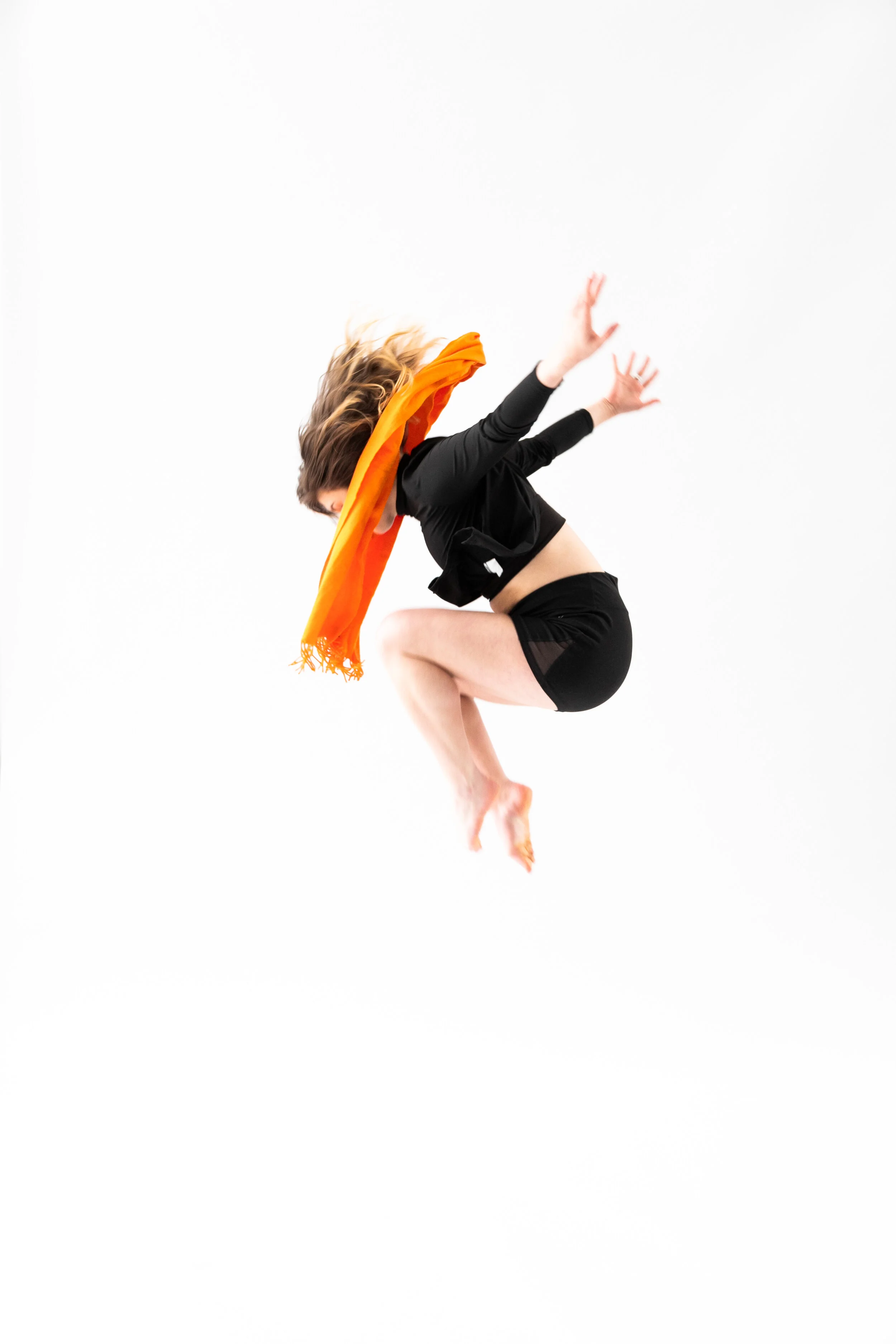 Schneider Leaps