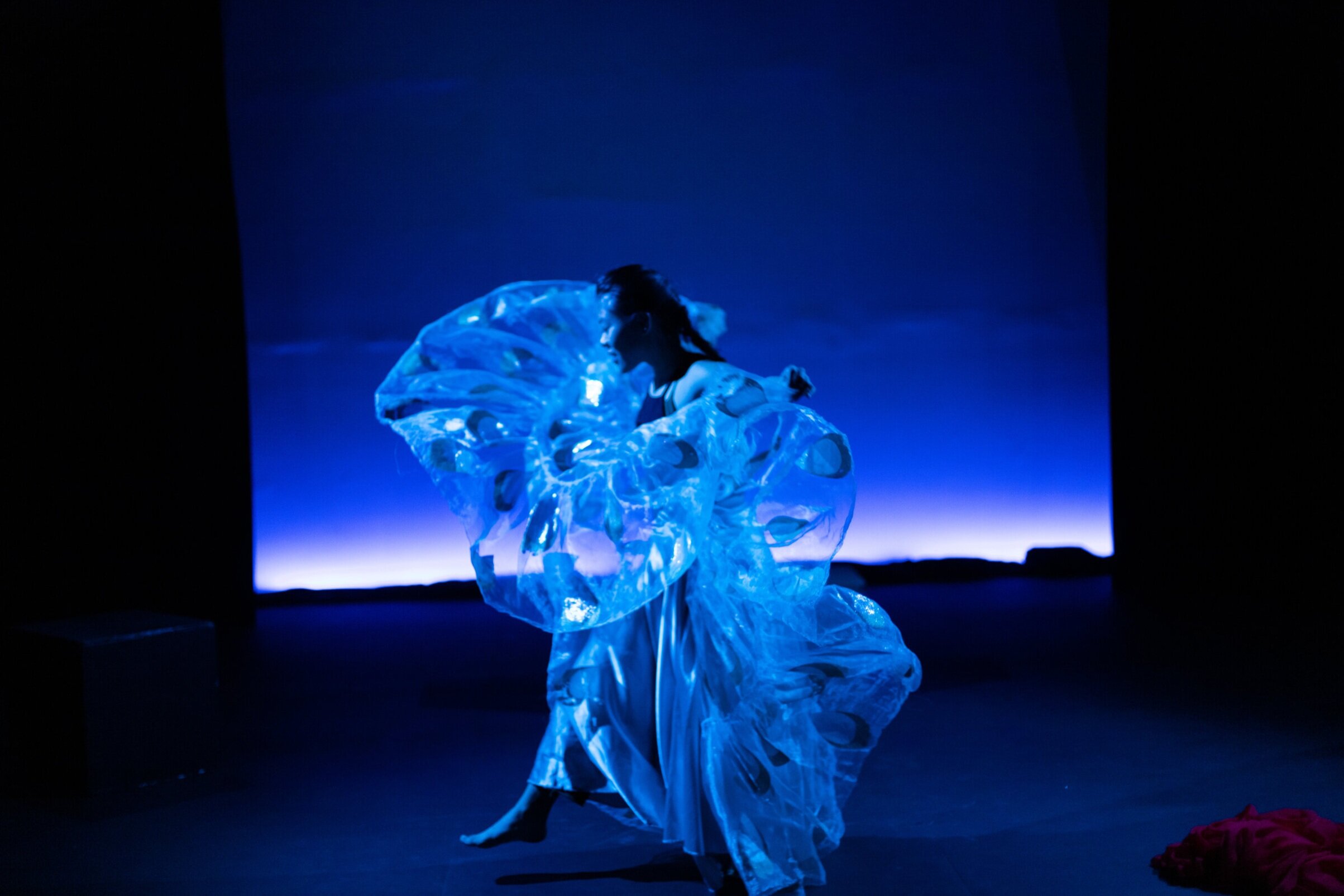 julia gay's motherlanded, image 3