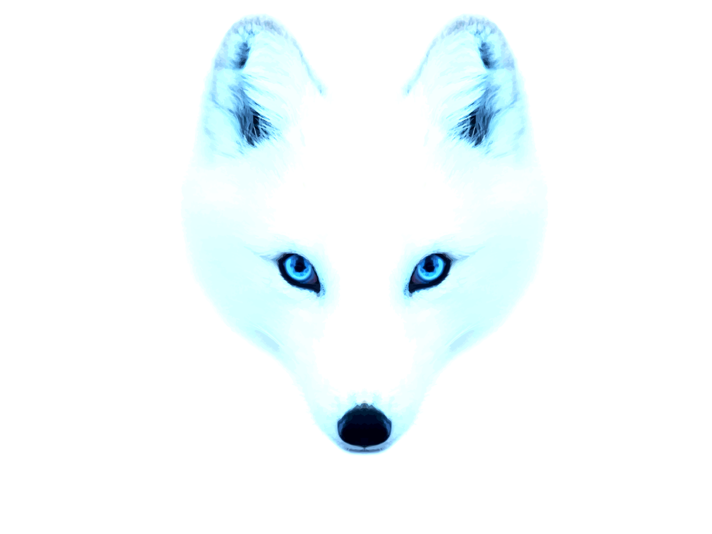 Arctic Fox vector.png