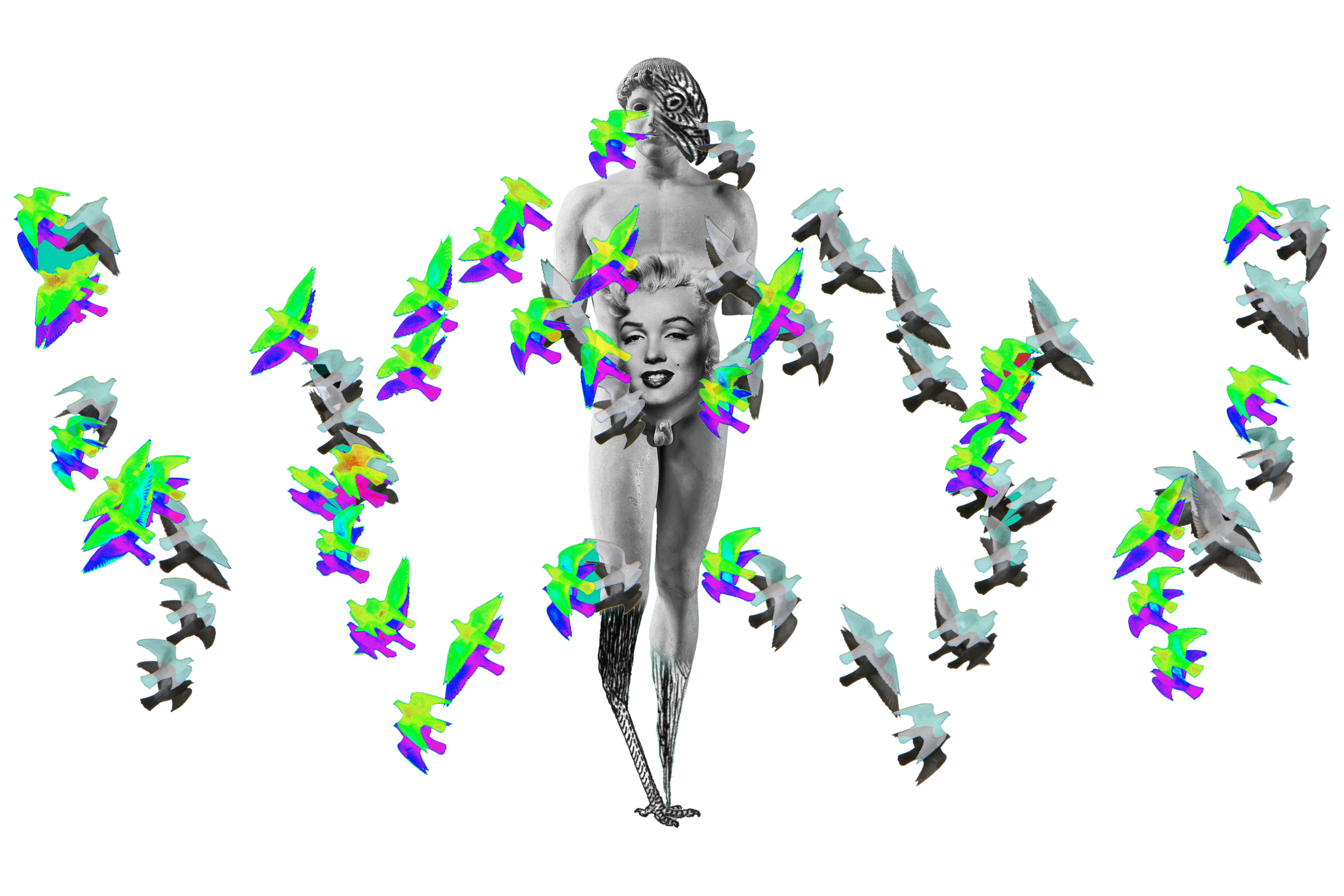 David copy.png