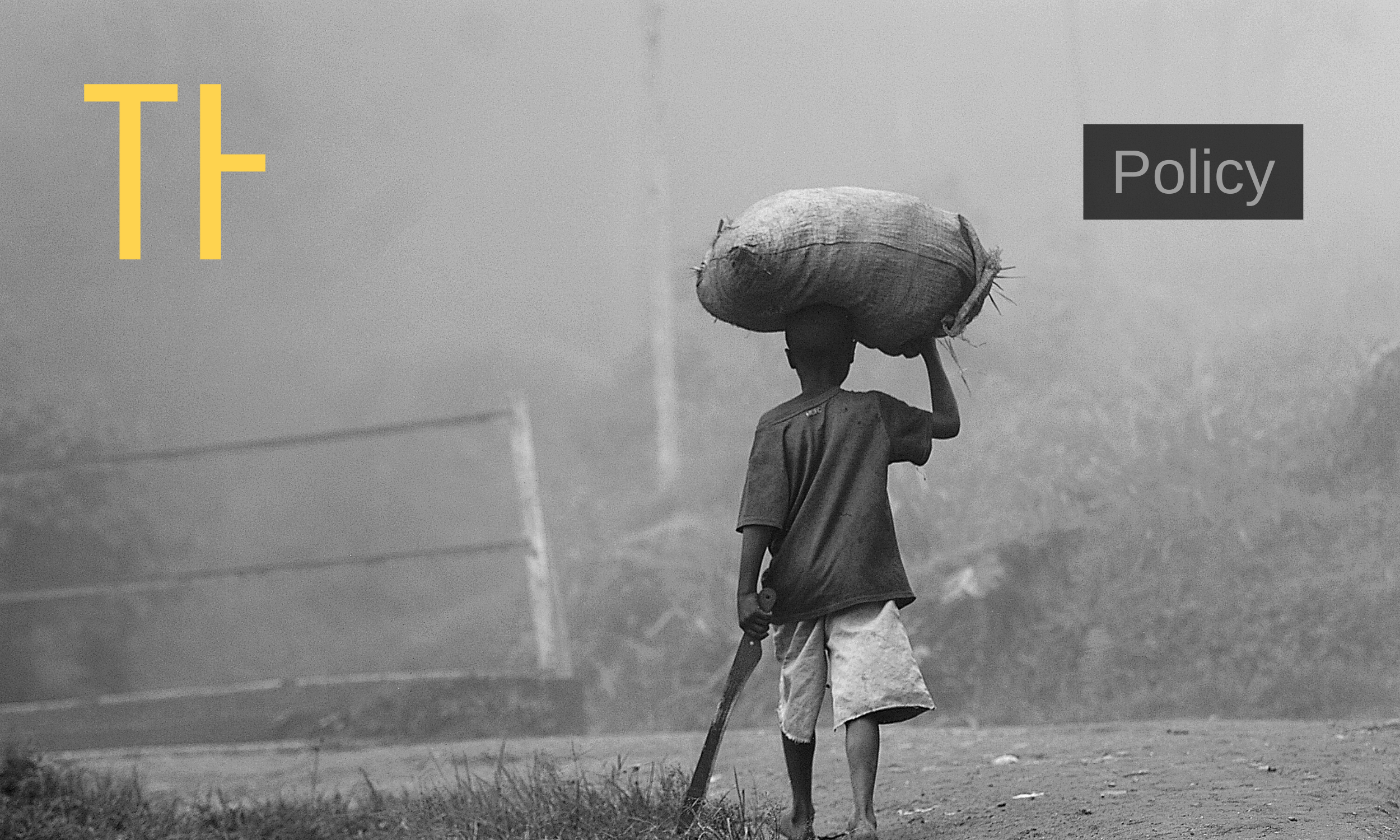 Valuing the Chain: Design Thinking for Nigerian Public Policy Development