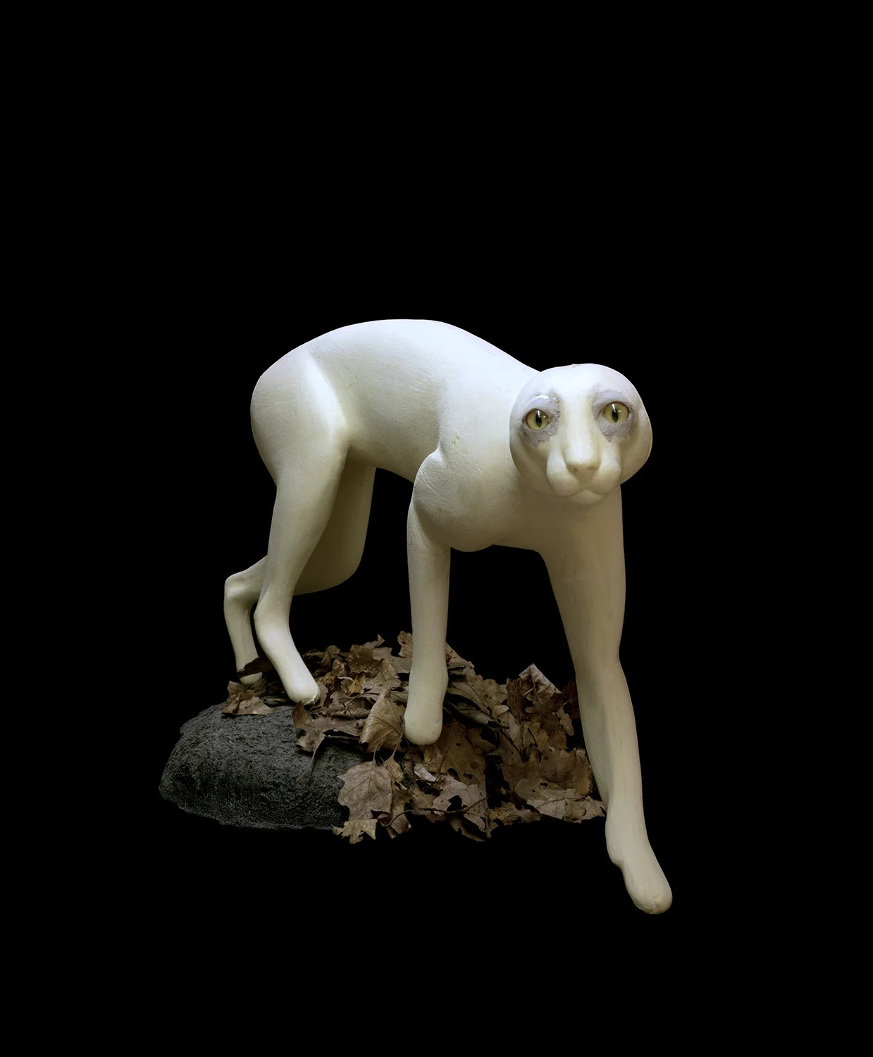 bobcat_1500.jpg