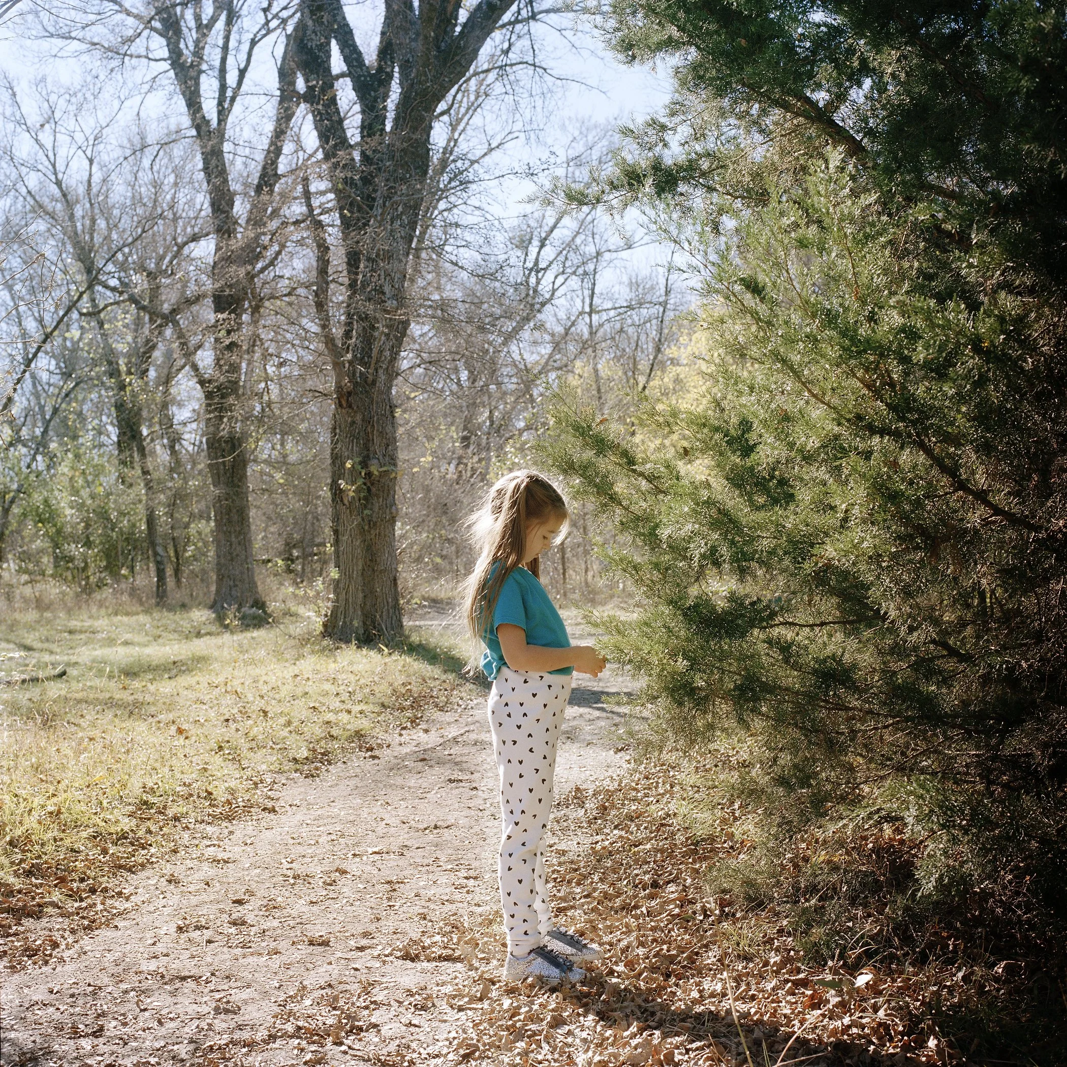 Scarlett Hike.JPG