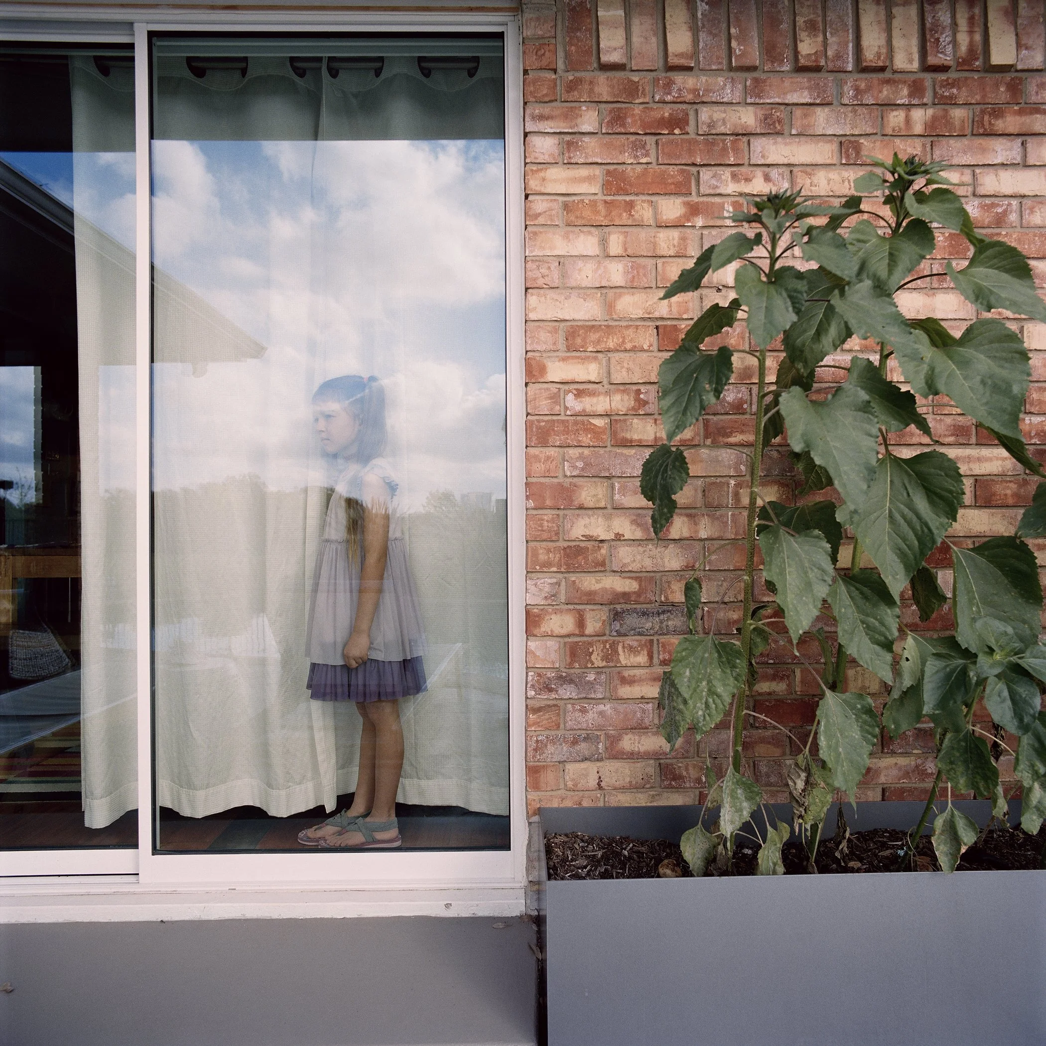 Scarlett Sliding Door.JPG