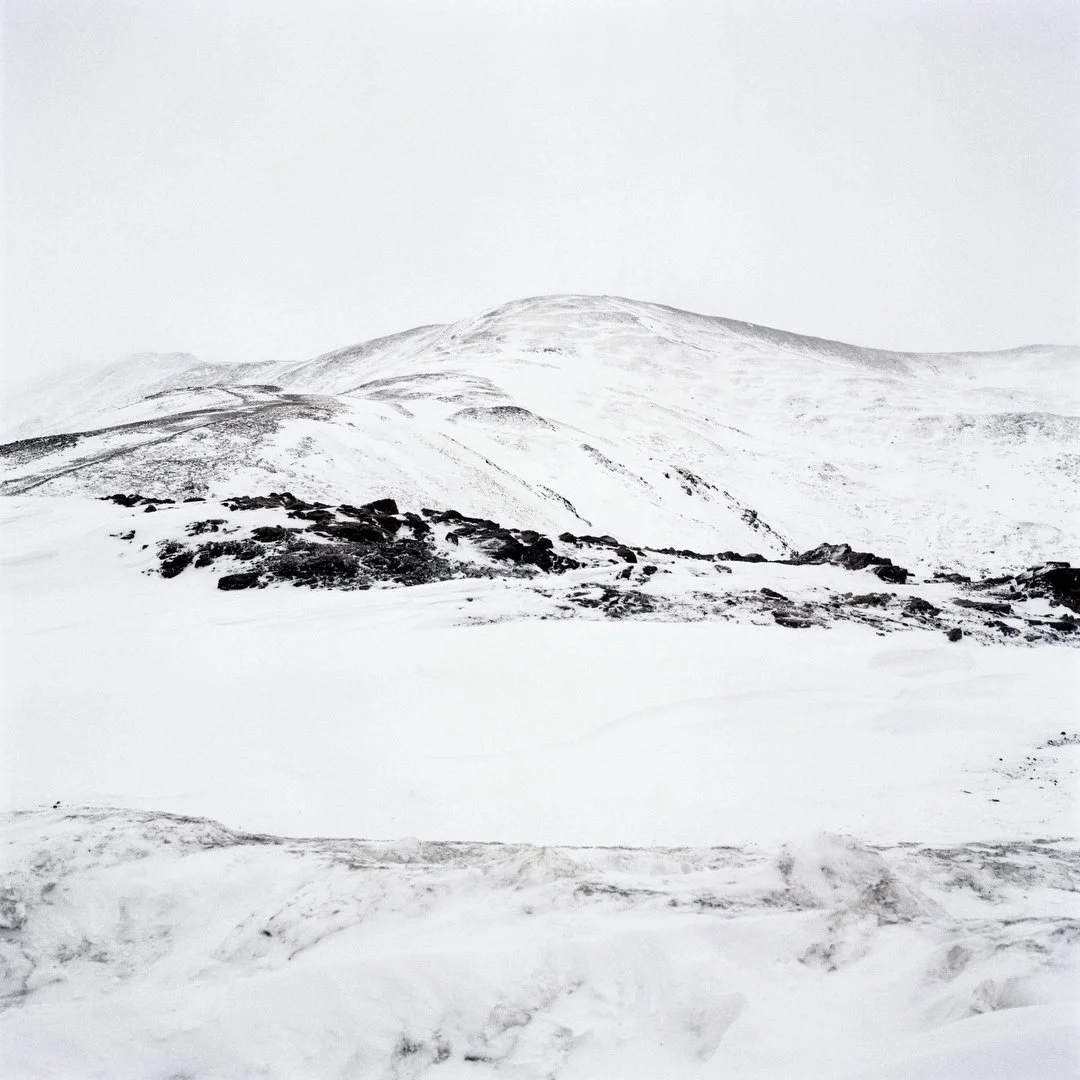 4116_09_White Out Landscape_04.JPG
