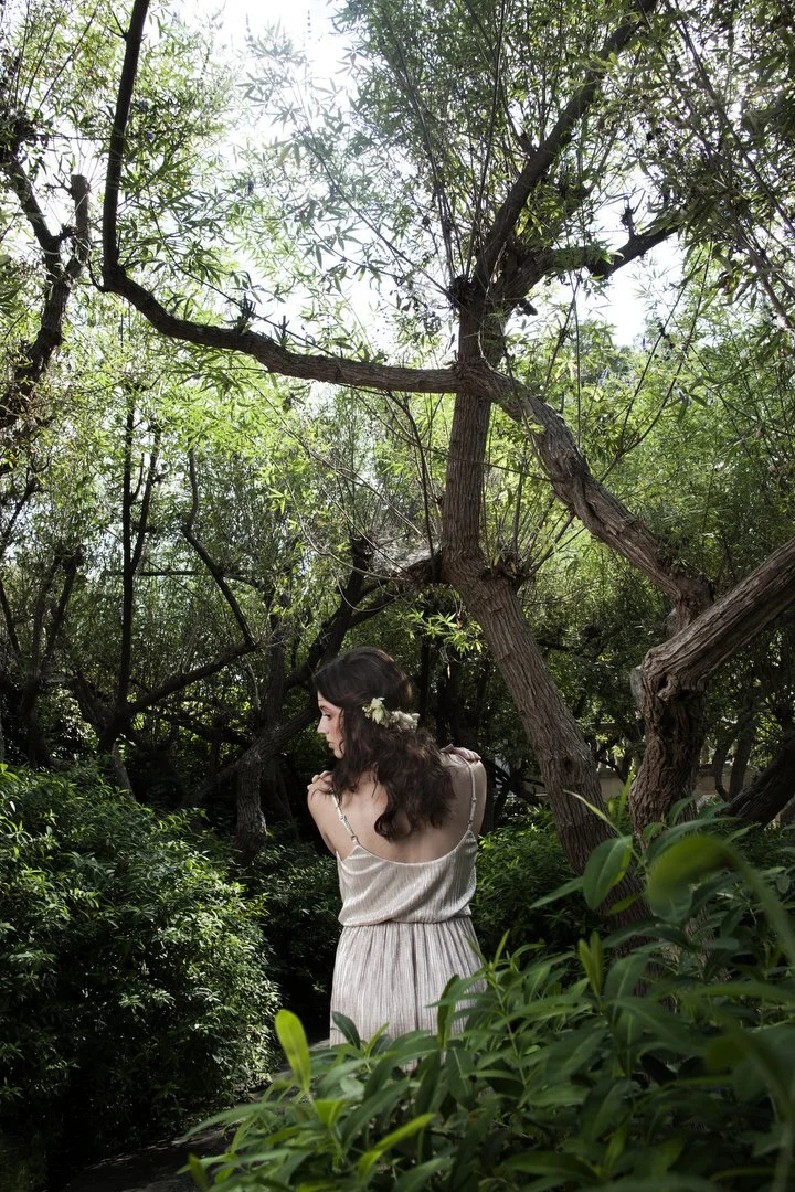 Tanglewood_Golden Hannah.JPG