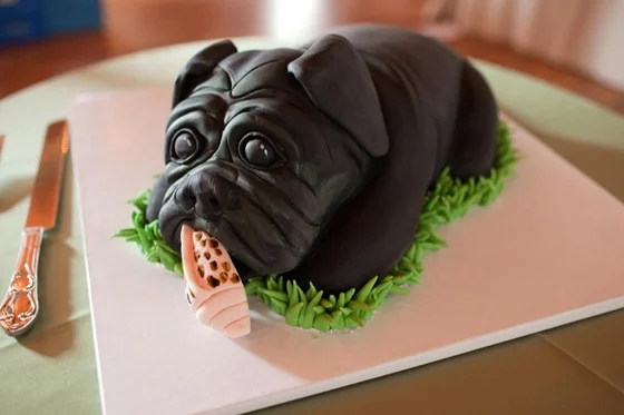 black pug cake
