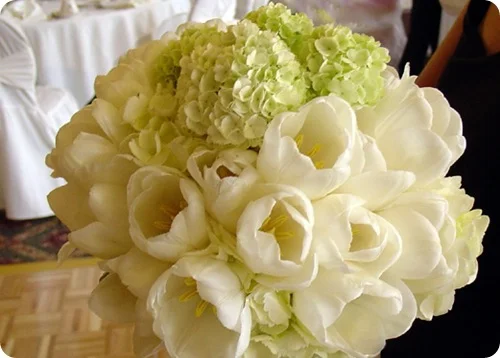white Tulip bouquet green hydrangea Source