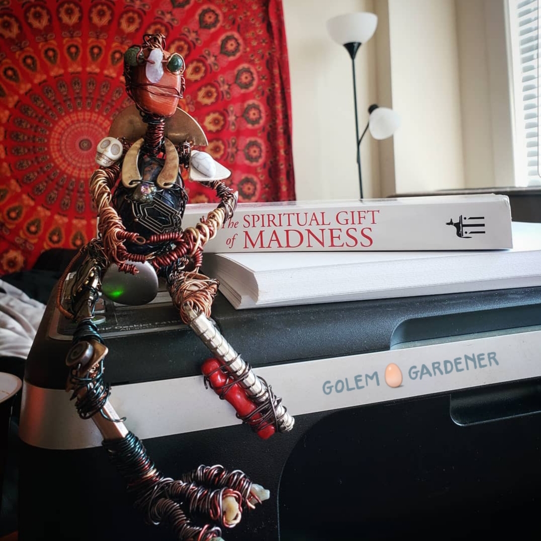 Seth Farber’s The Spiritual Gift of Madness. (Photo by Sarah Ahmad)