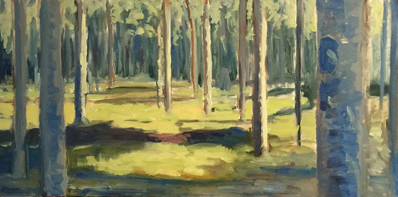 matt-fay-aspen-light.jpg