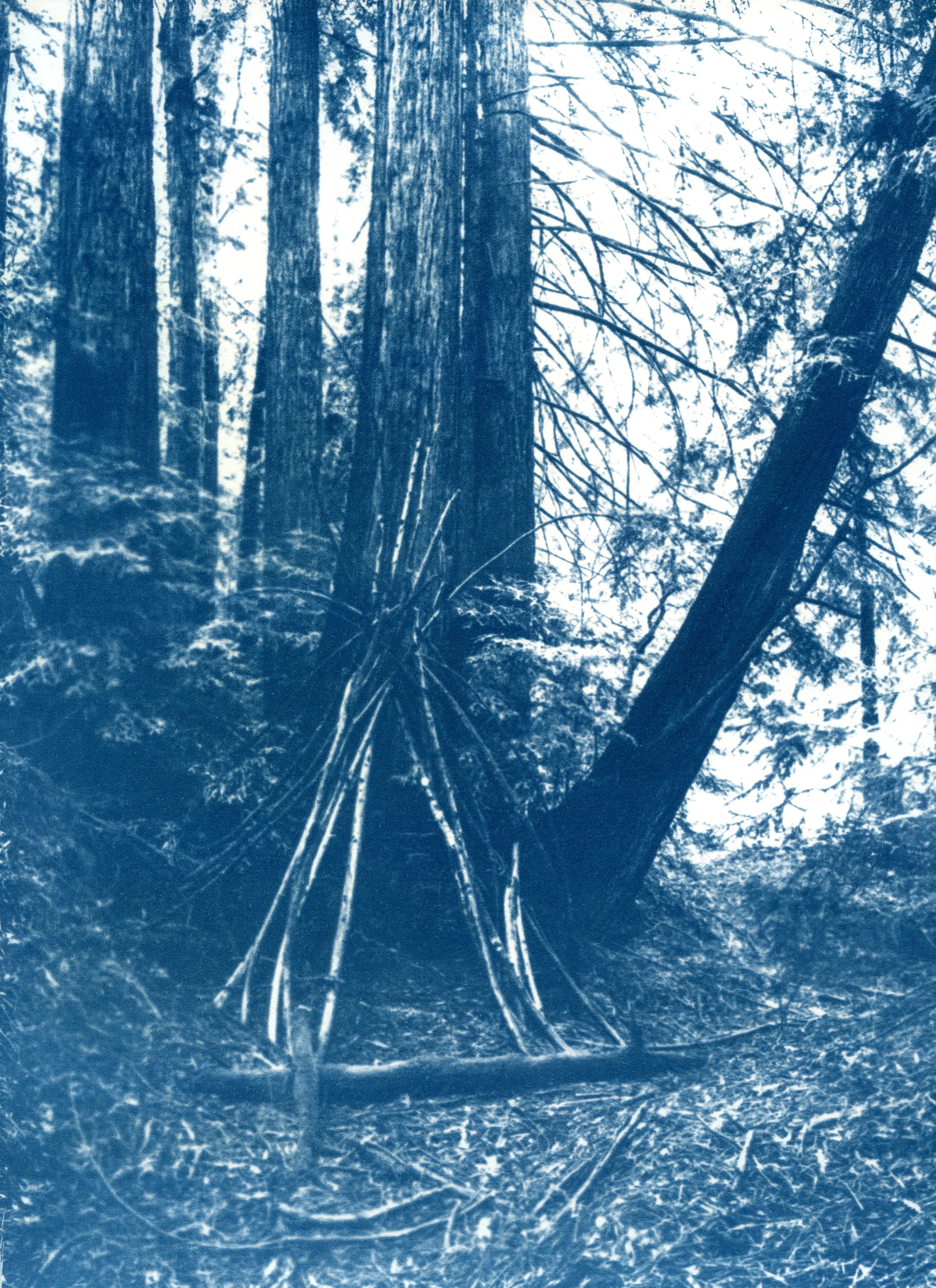 Edition 2: Cyanotype Print