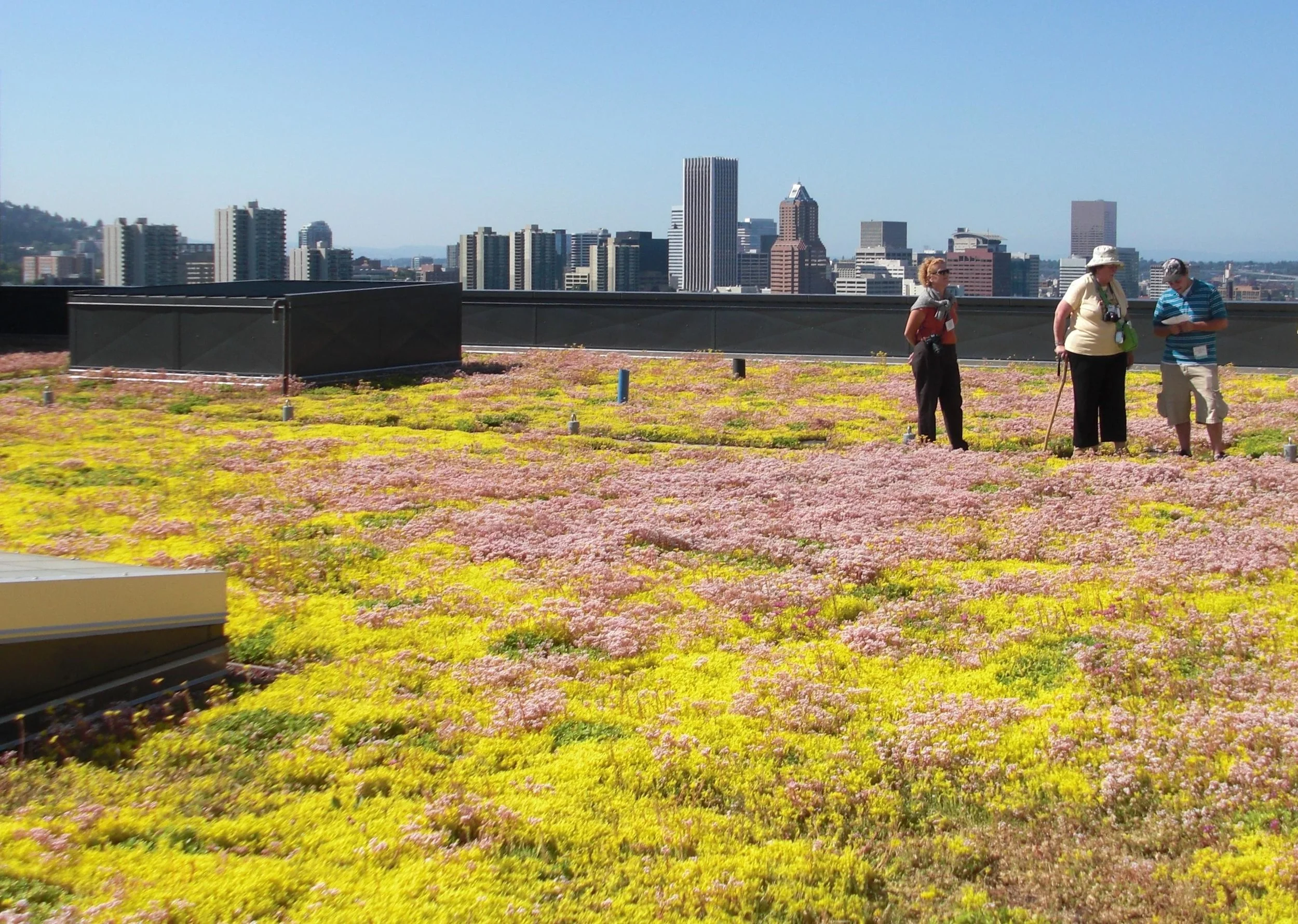 GRIT Meeting - December 2017